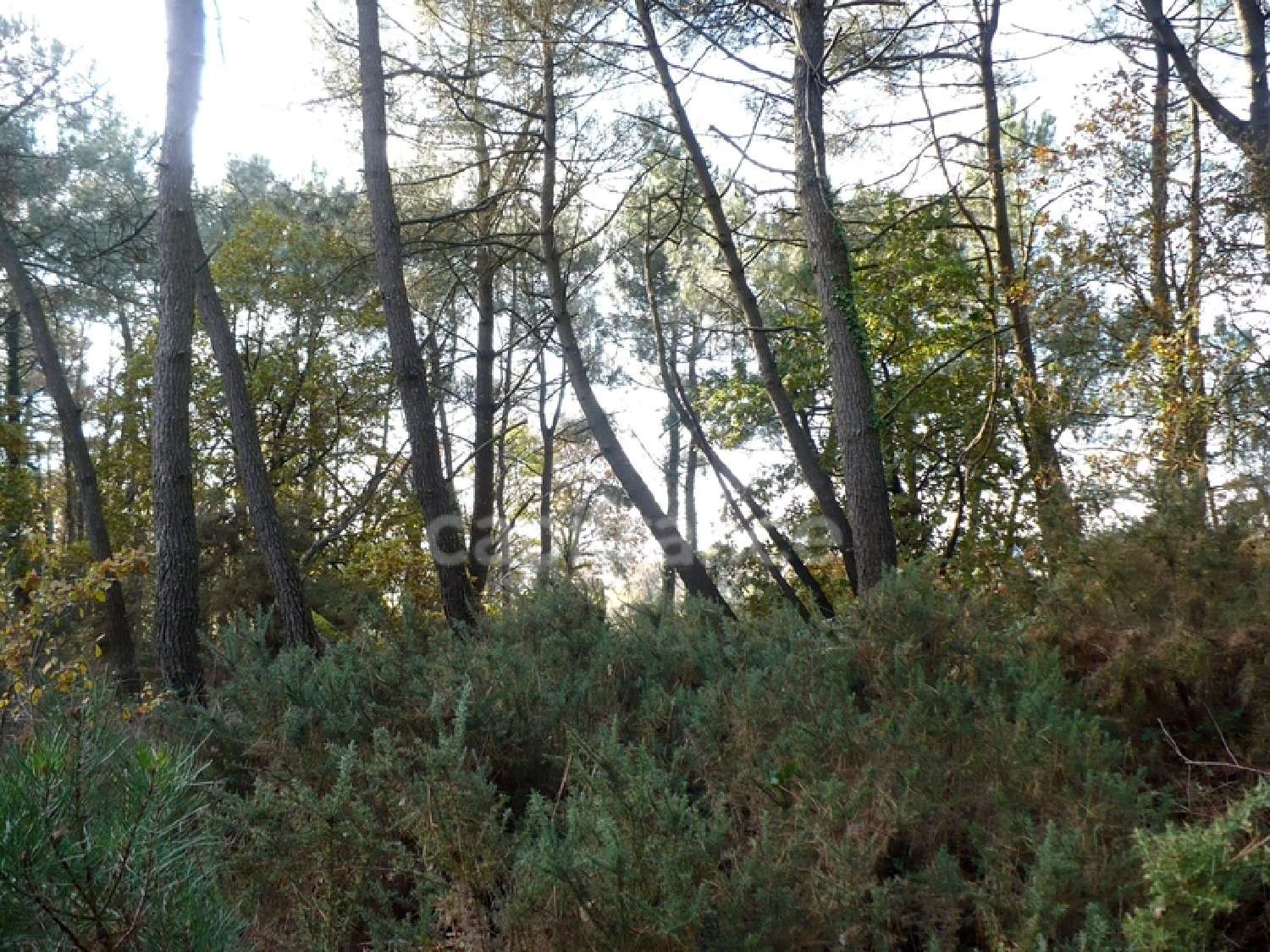 te koop terrein Nivillac Morbihan 5