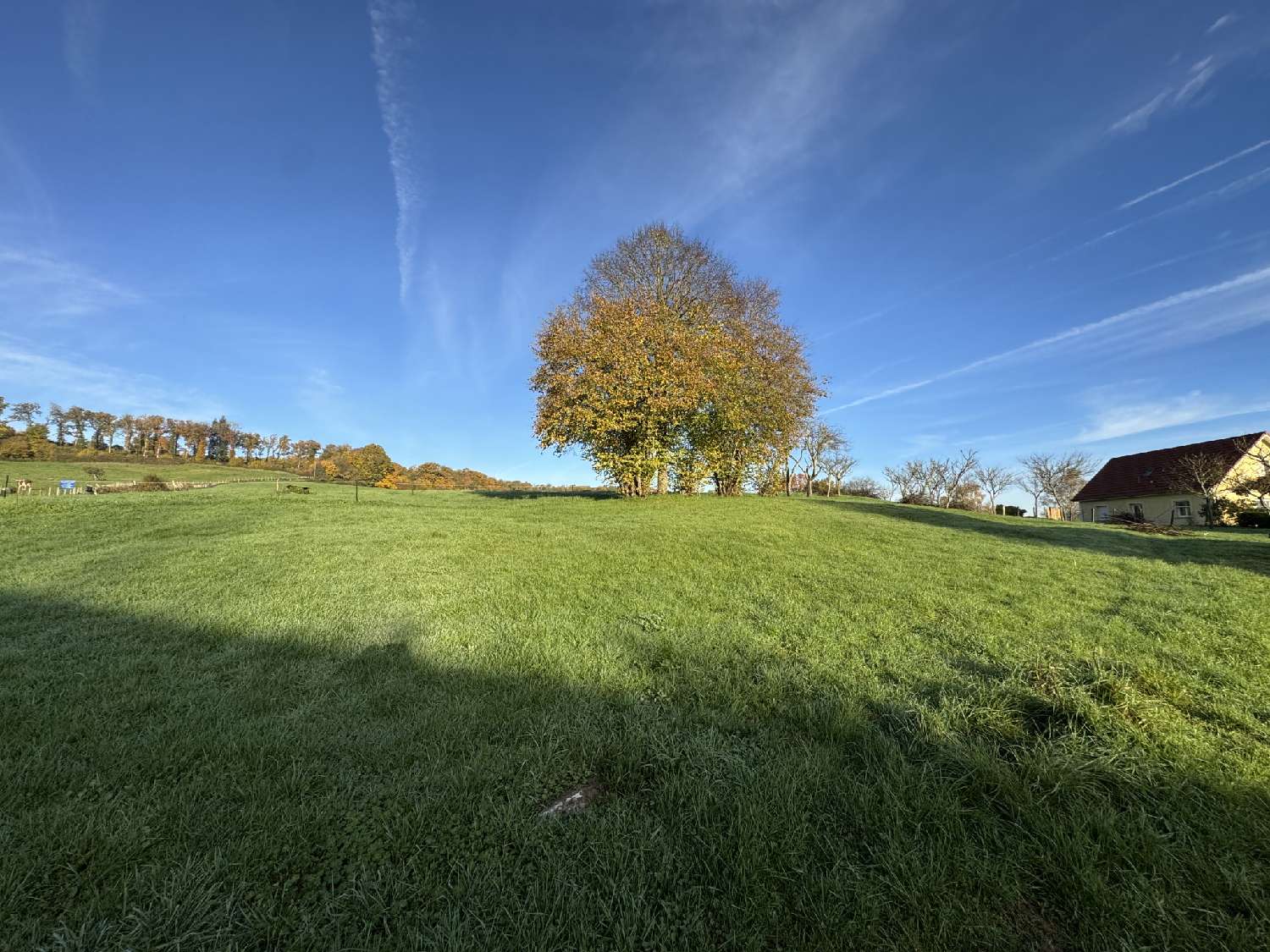  kaufen Grundstück Oppenans Haute-Saône 1