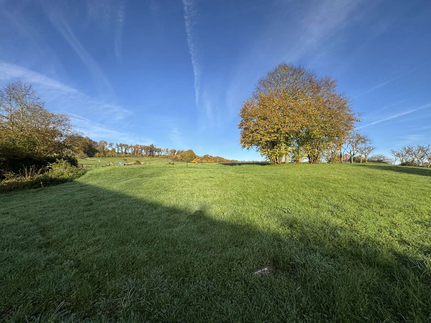  kaufen Grundstück Oppenans Haute-Saône 3