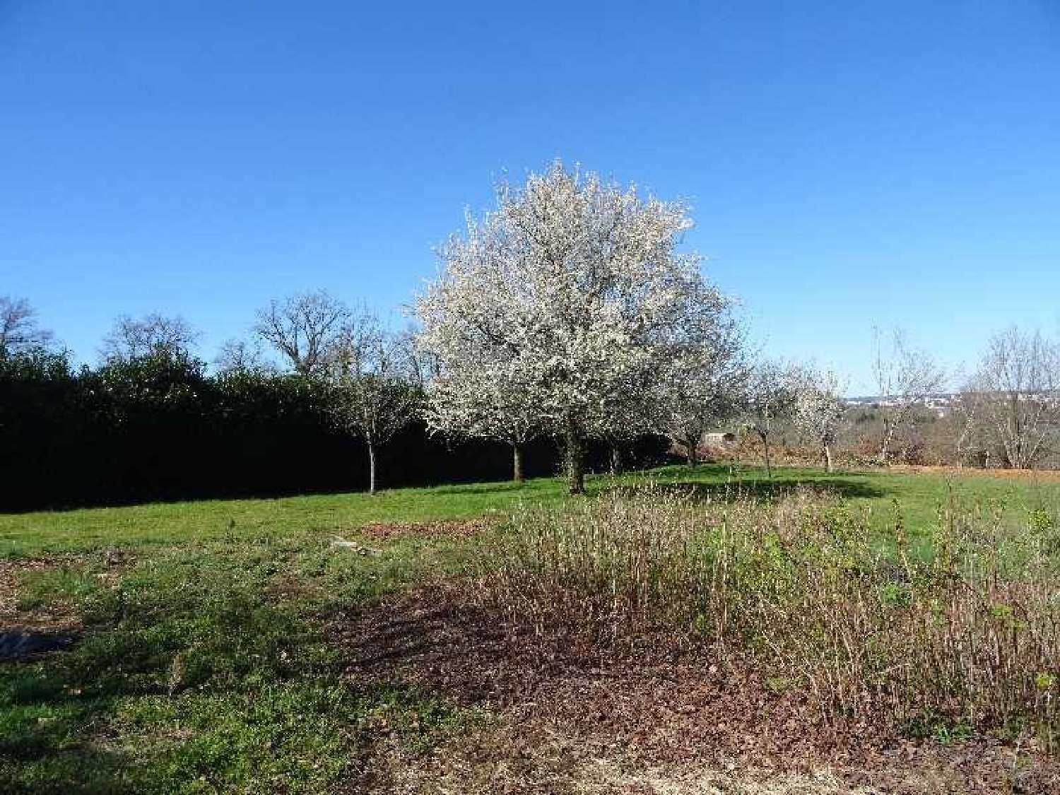  en venta terreno Panazol Haute-Vienne 5