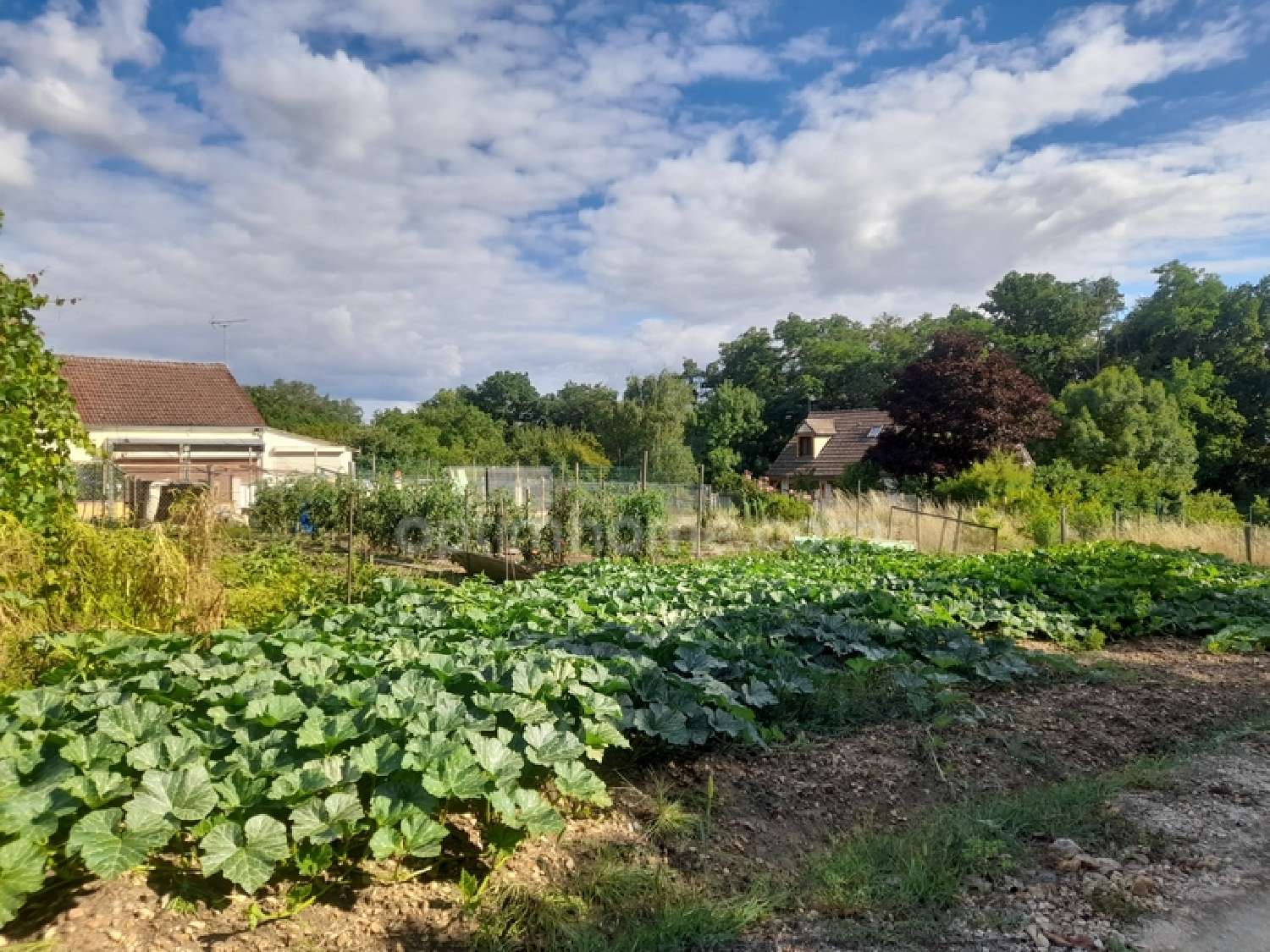 te koop terrein Paucourt Loiret 2