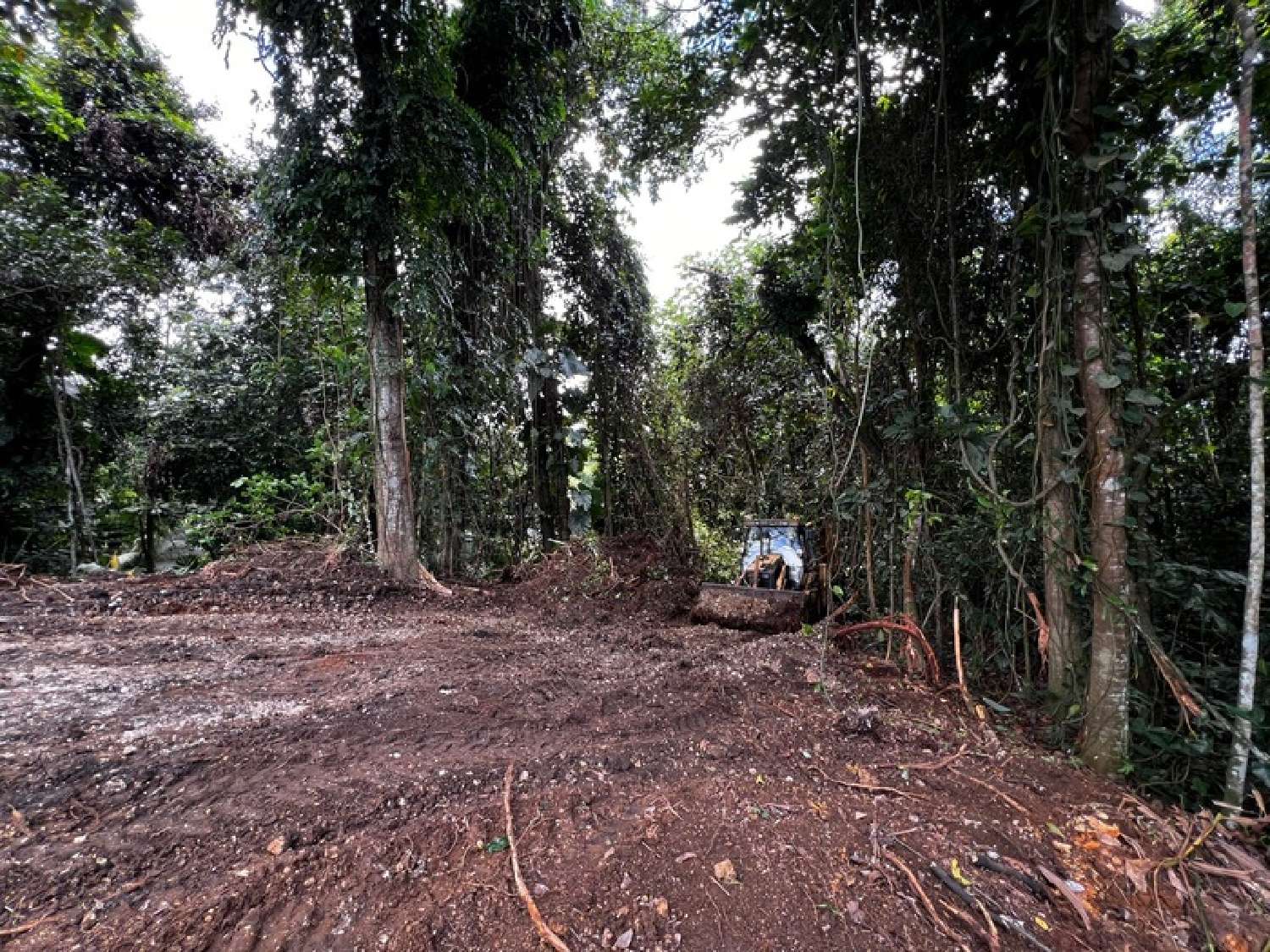 te koop terrein Petit-Bourg Guadeloupe 2