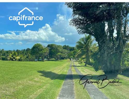 Petit-Bourg Guadeloupe terrein foto 7221381