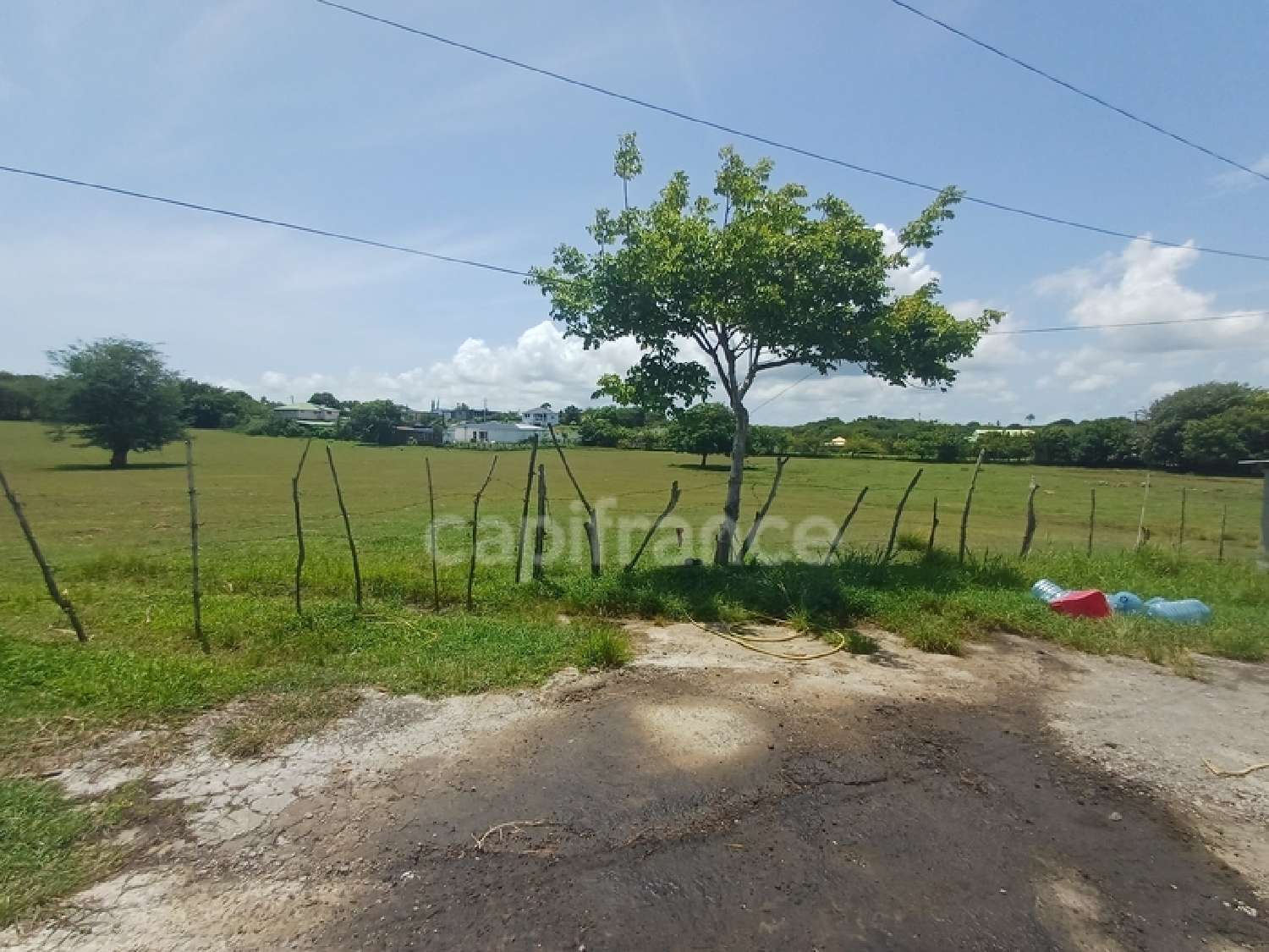  te koop terrein Petit-Canal Guadeloupe 5