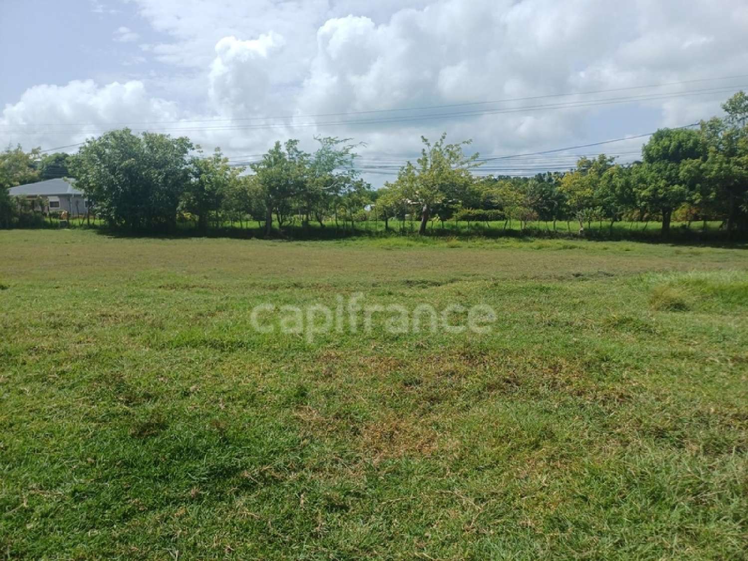  te koop terrein Petit-Canal Guadeloupe 7