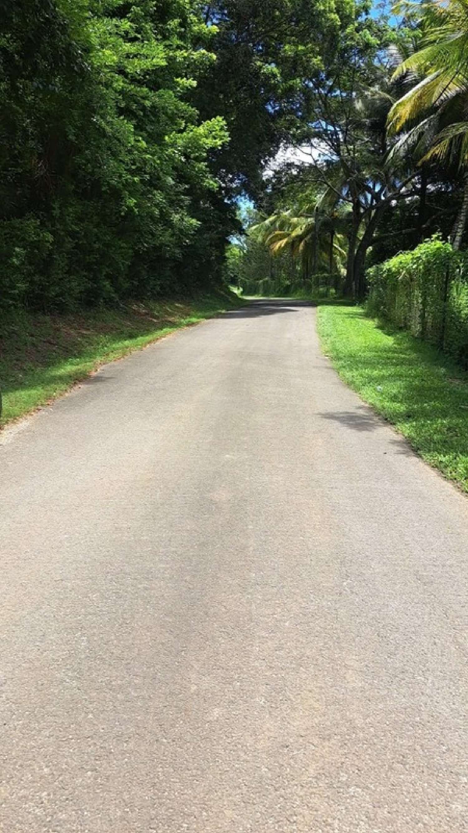 te koop terrein Petit-Canal Guadeloupe 4