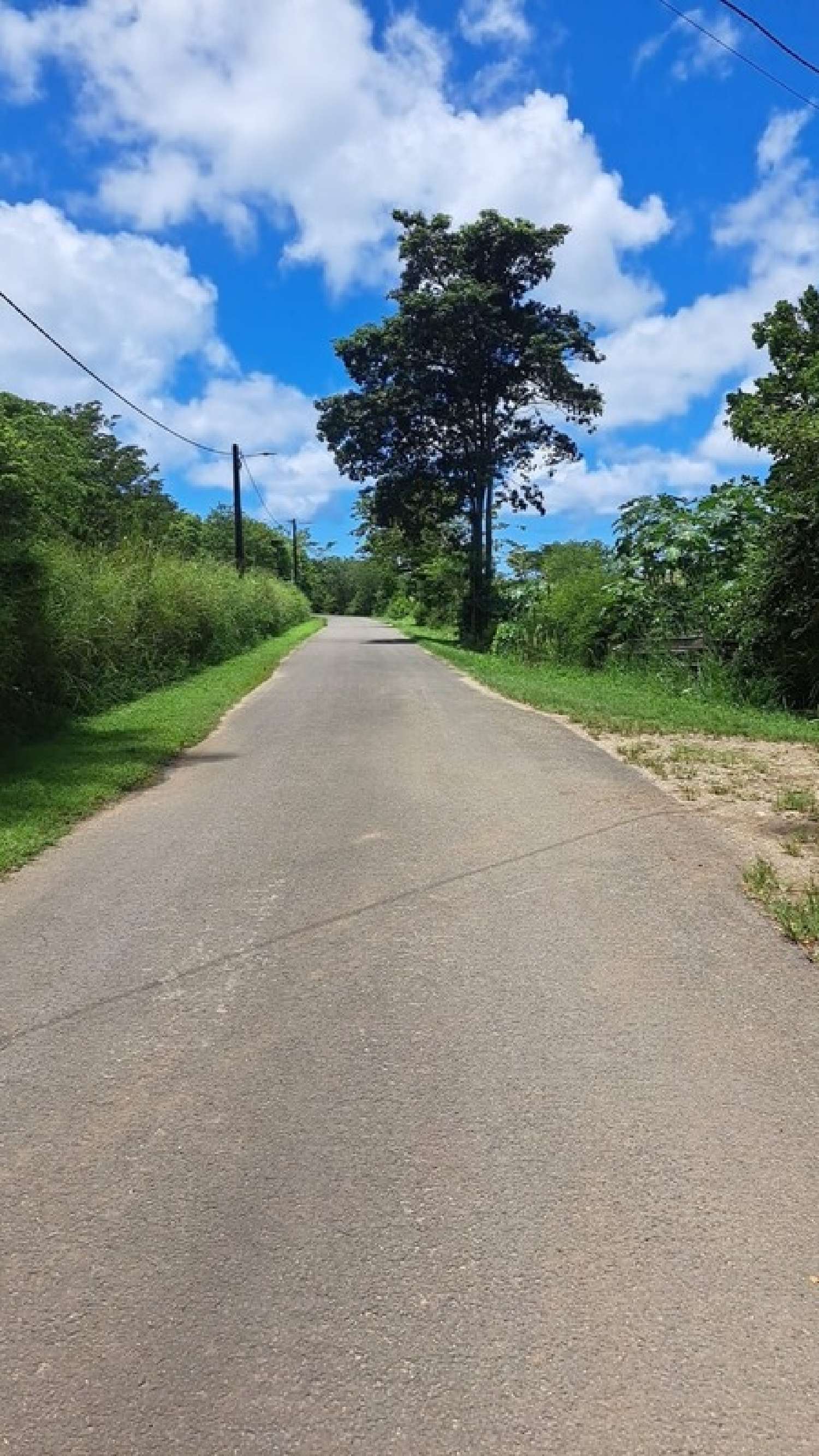 te koop terrein Petit-Canal Guadeloupe 5