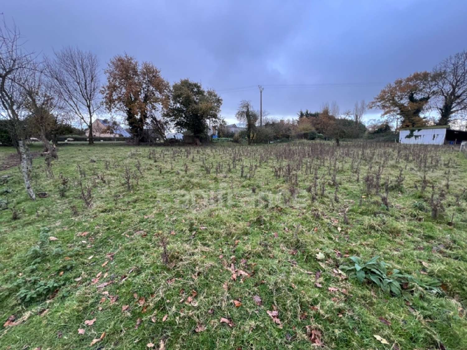 te koop terrein Plélo Côtes-d'Armor 1