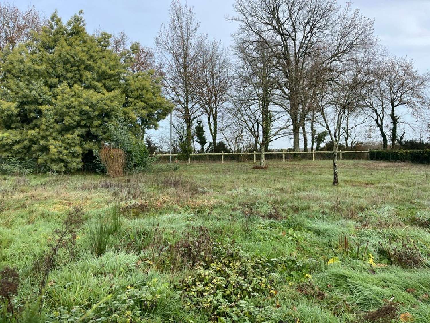  à vendre terrain Plessé Loire-Atlantique 3