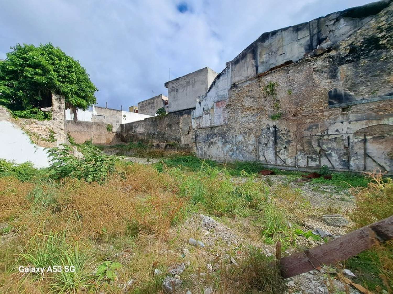te koop terrein Pointe-à-Pitre Guadeloupe 1