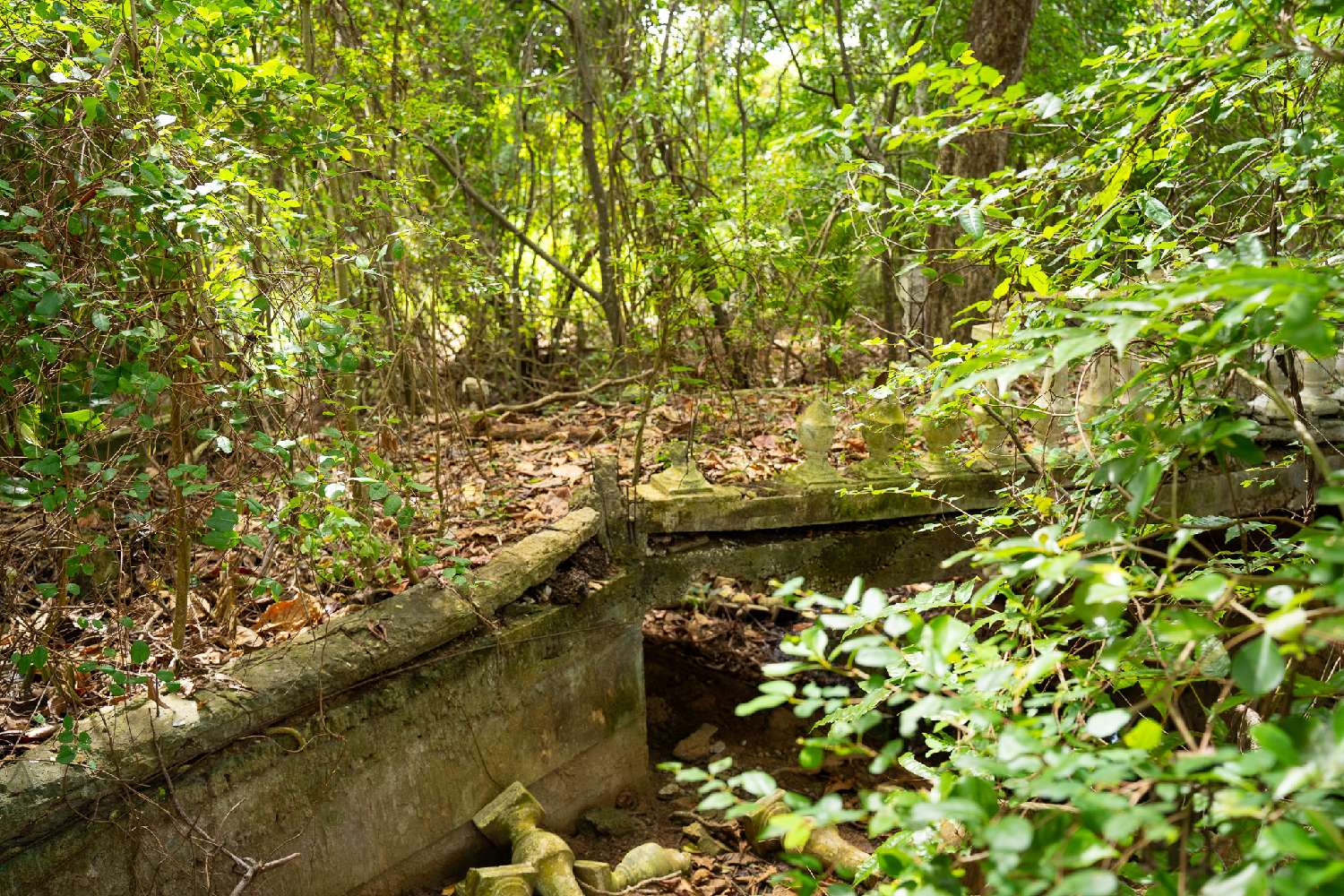 for sale terrain Pointe-Noire Guadeloupe 2