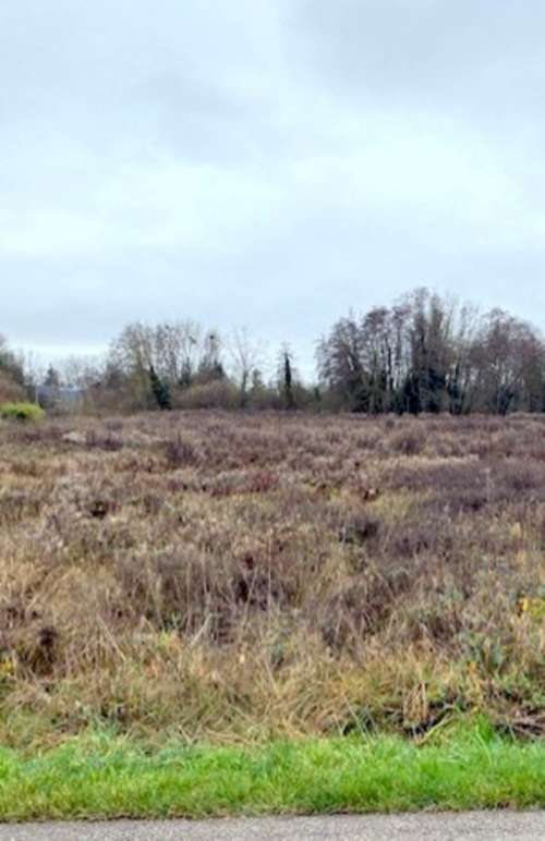 Pont-sur-Vanne Yonne terreno foto 7229953