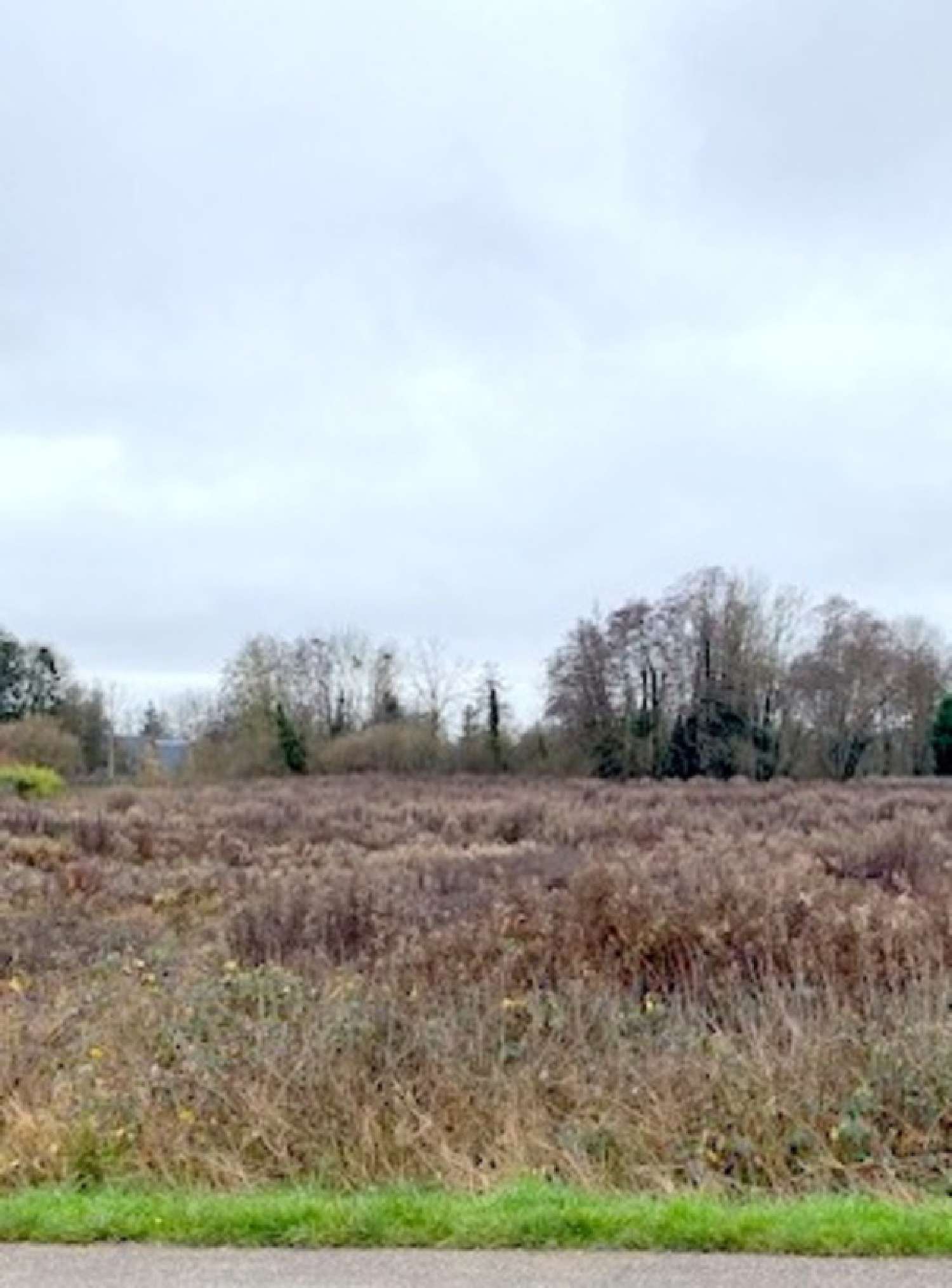 en venta terreno Pont-sur-Vanne Yonne 2