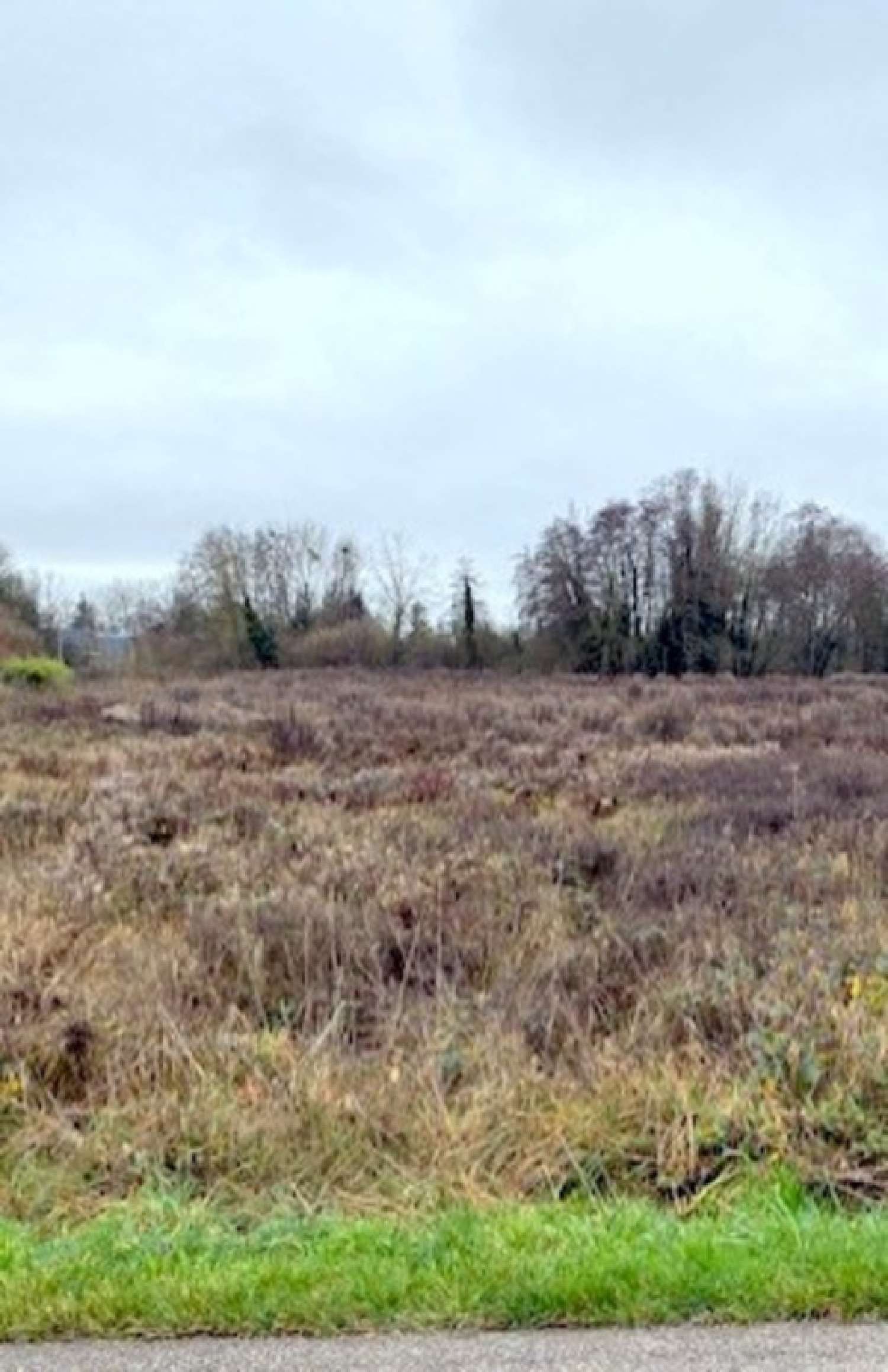 en venta terreno Pont-sur-Vanne Yonne 1