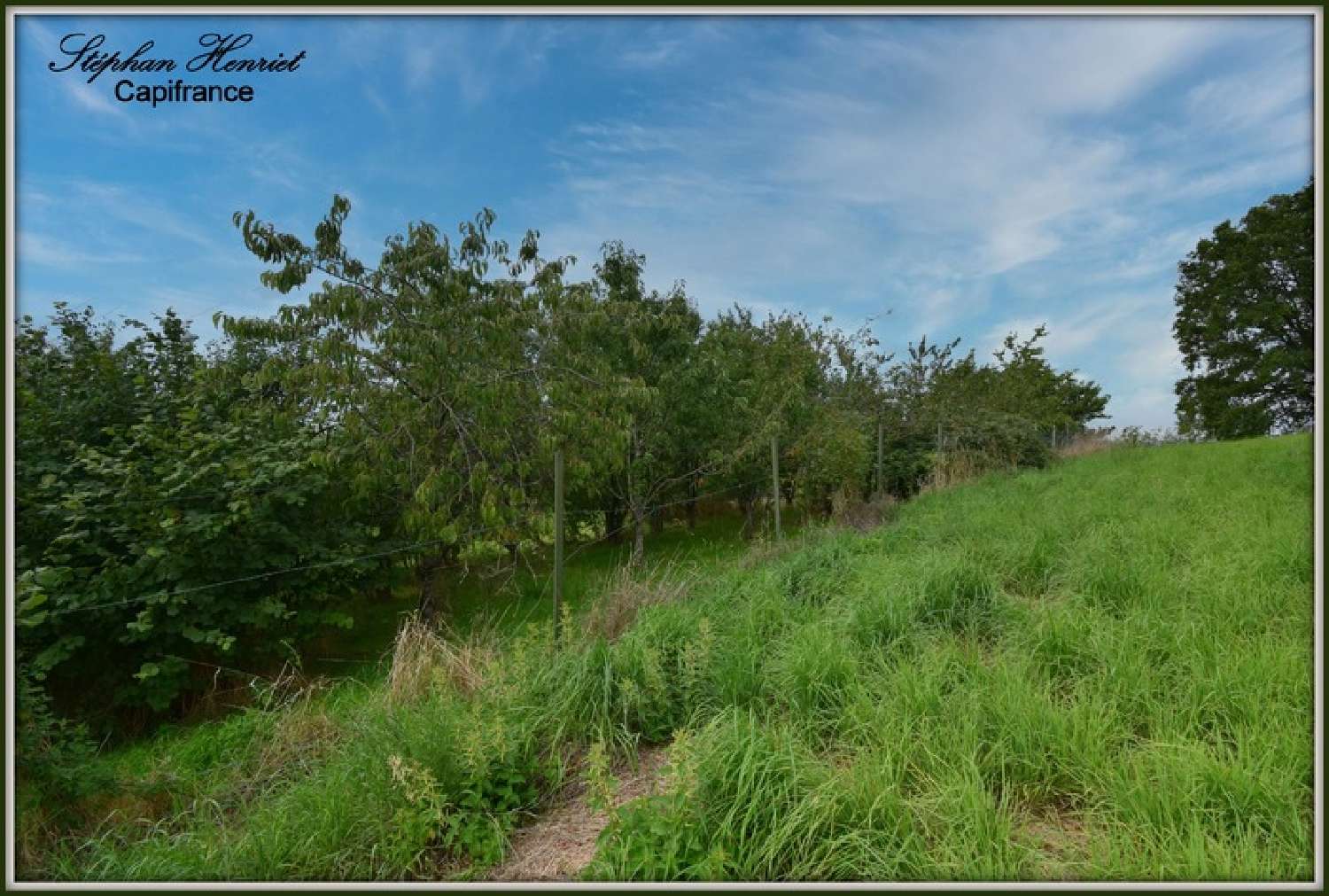  te koop terrein Primat Ardennes 6