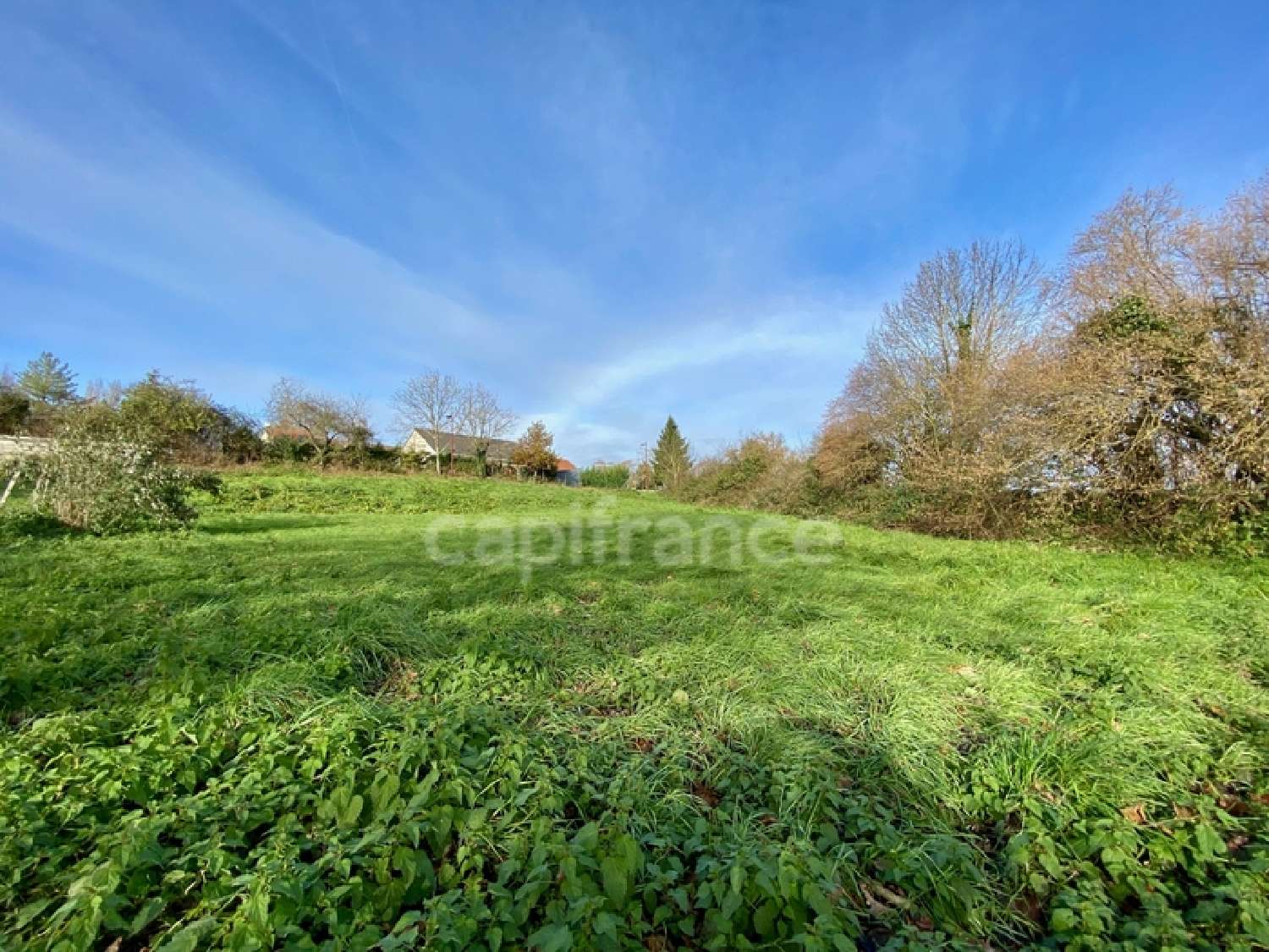 te koop terrein Quinssaines Allier 1