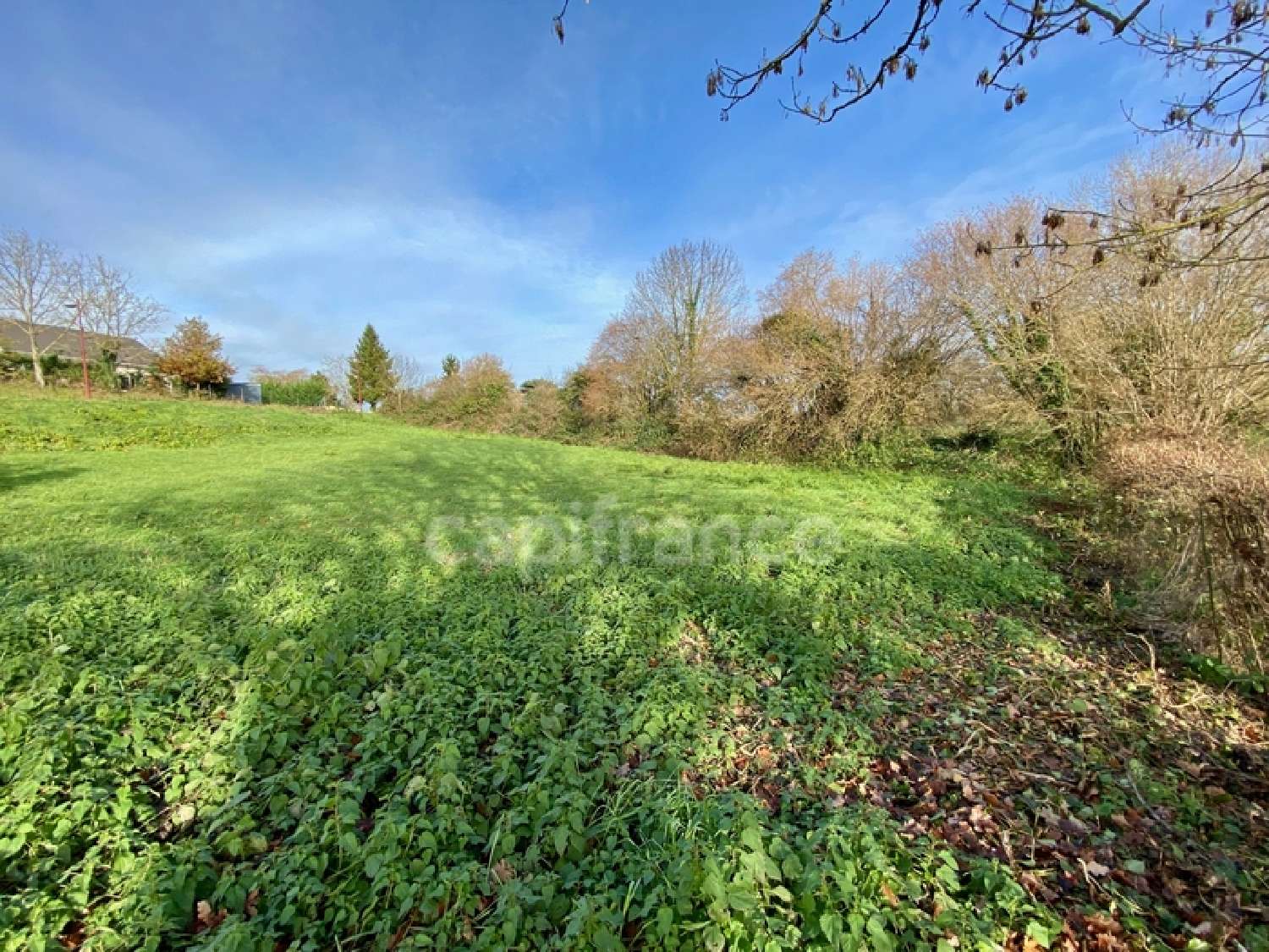 te koop terrein Quinssaines Allier 8