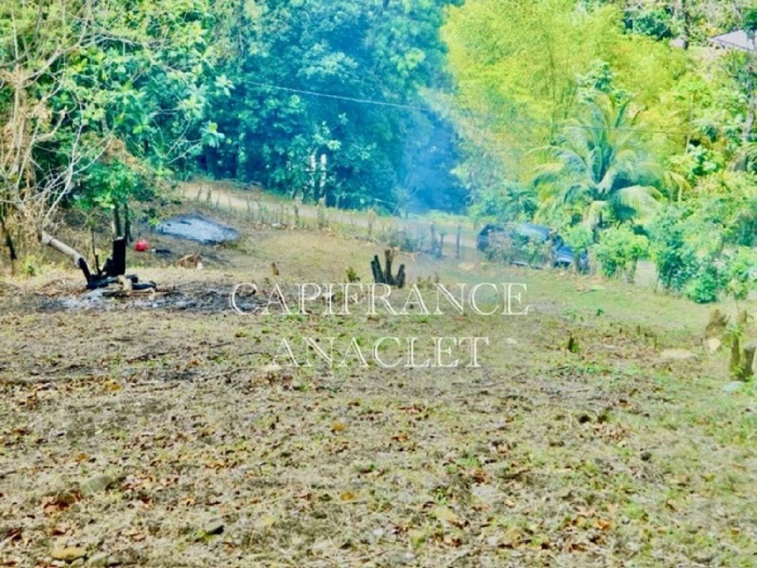 te koop terrein Rivière-Pilote Martinique 2