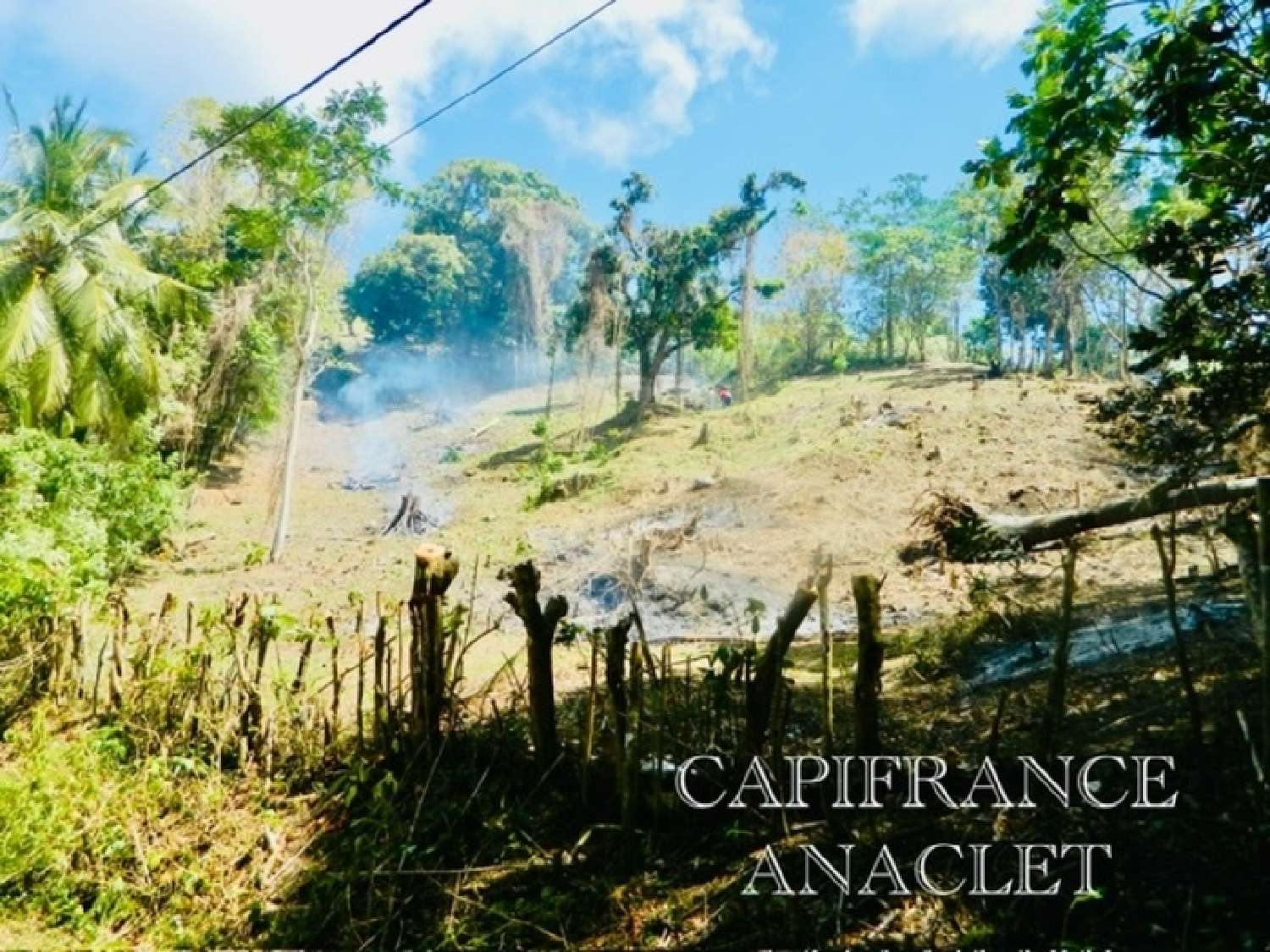 te koop terrein Rivière-Pilote Martinique 3