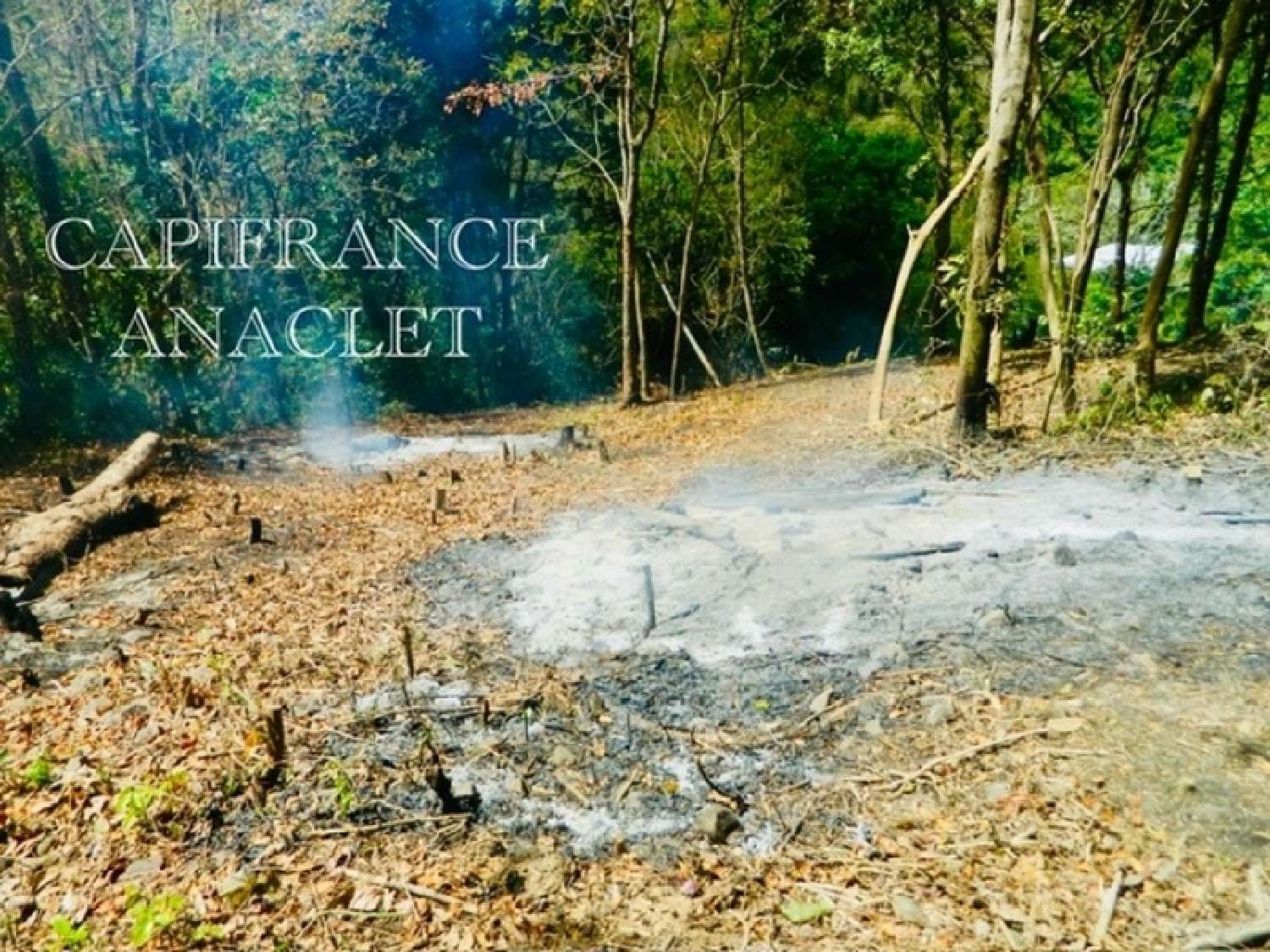 te koop terrein Rivière-Pilote Martinique 4