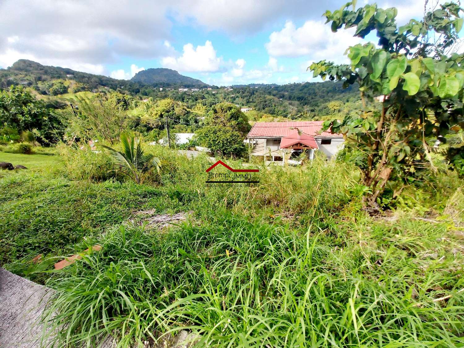 te koop terrein Rivière-Pilote Martinique 2