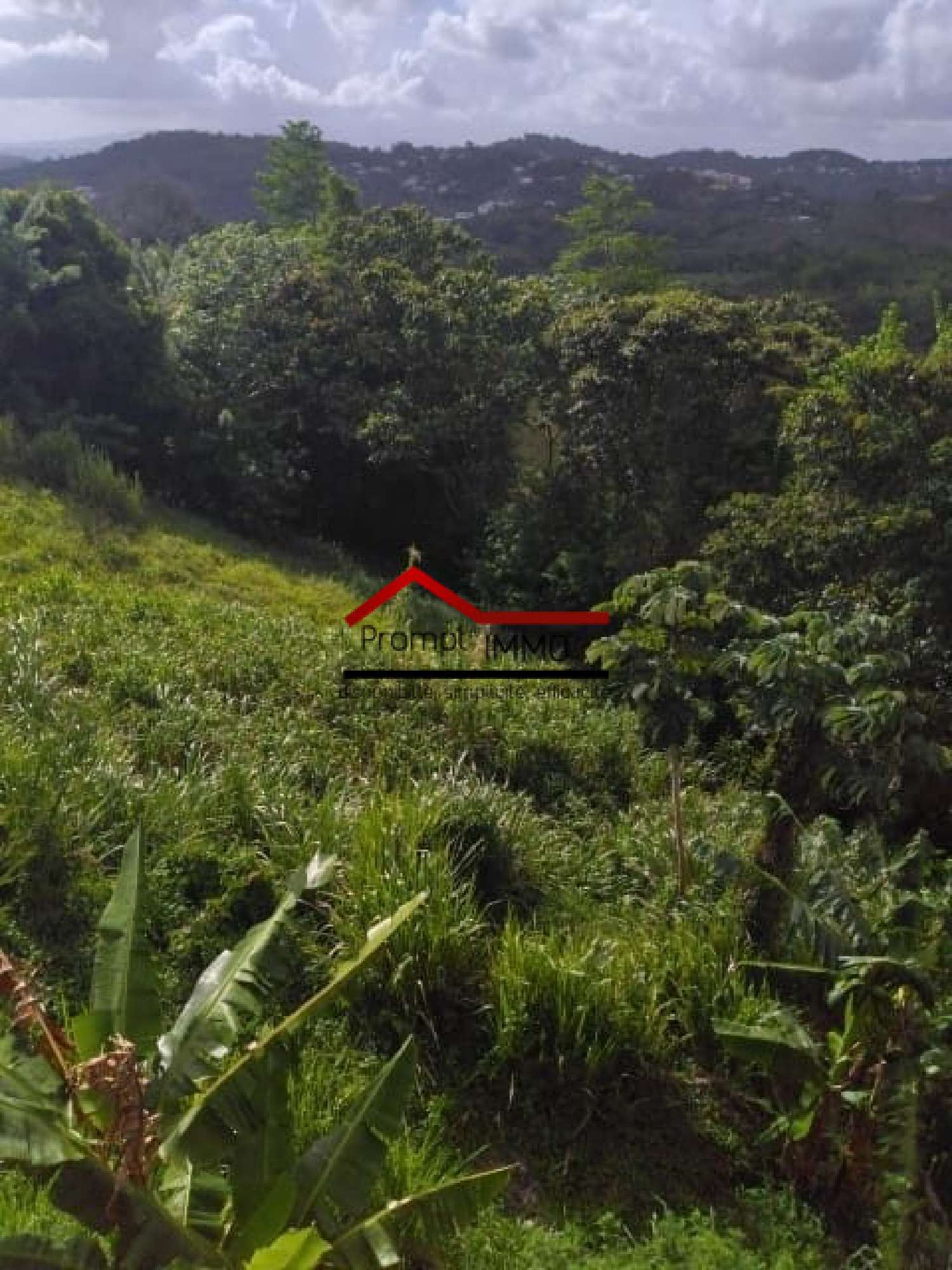  te koop terrein Rivière-Salée Martinique 1