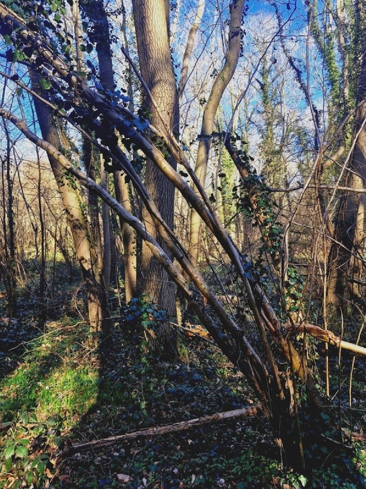 for sale terrain Ronquerolles Val-d'Oise 5