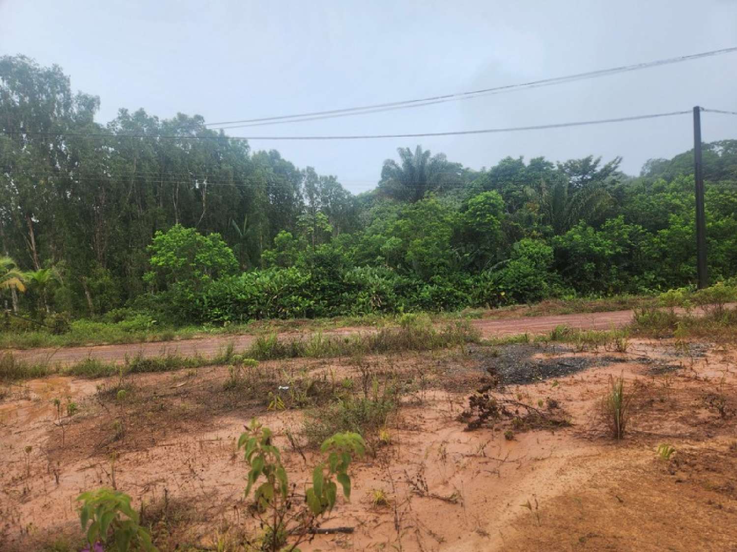  te koop terrein Roura Guyane 3