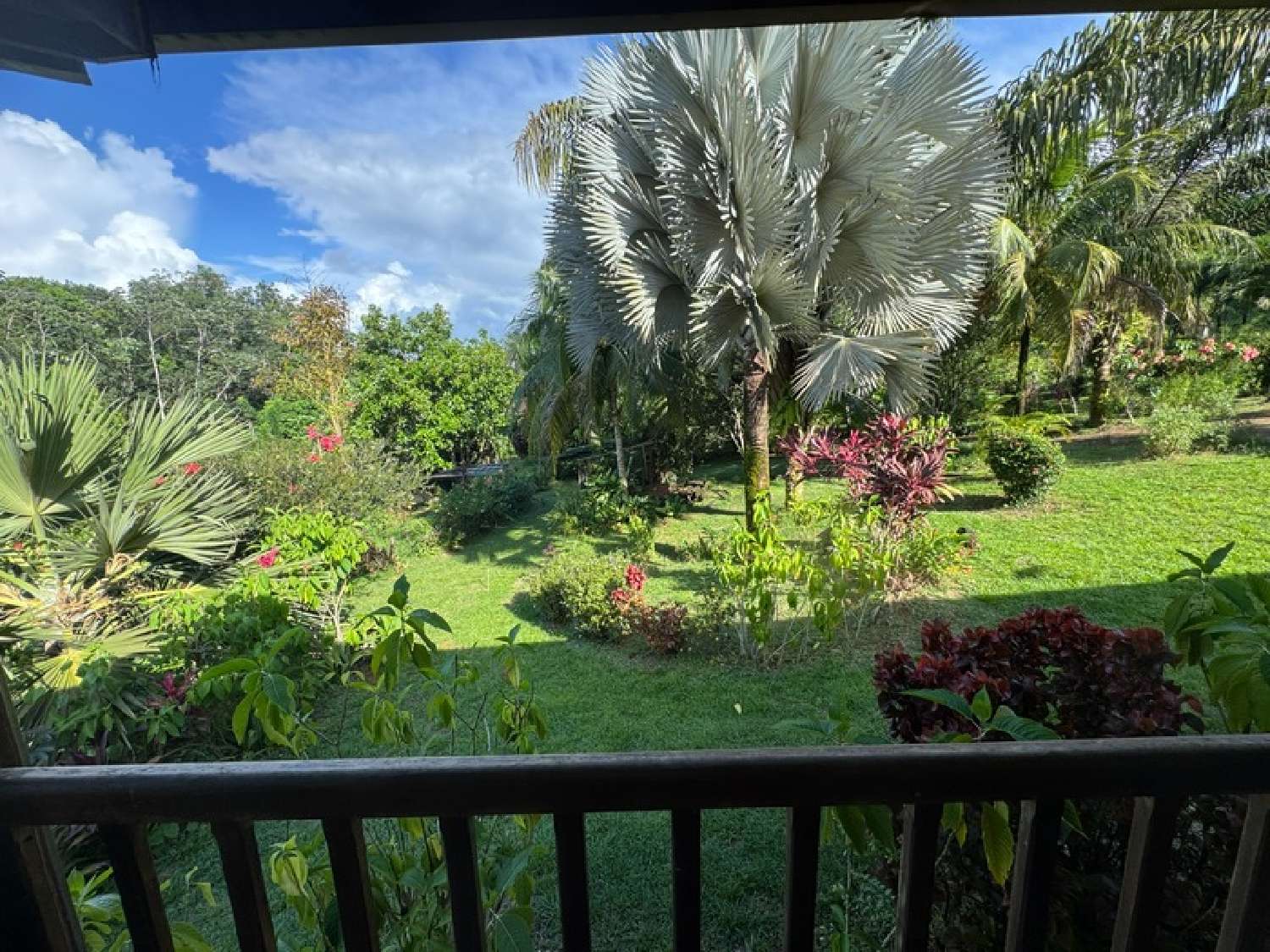  te koop terrein Roura Guyane 4