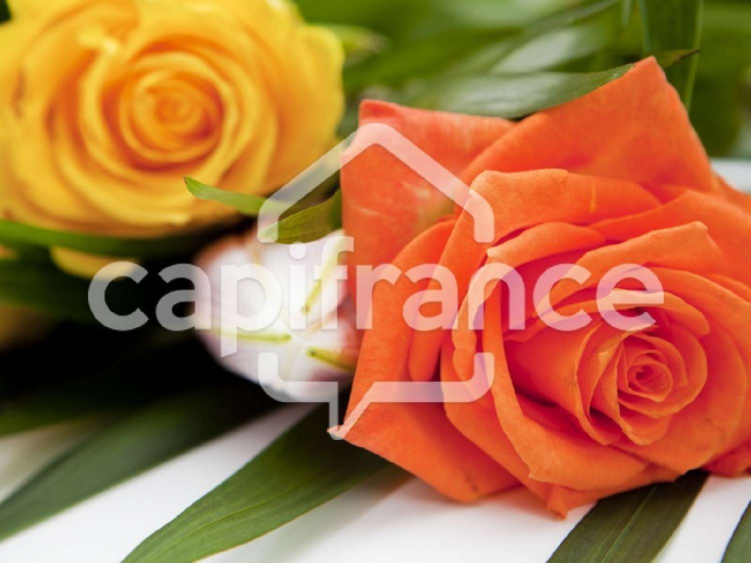 te koop terrein Sada Mayotte 1