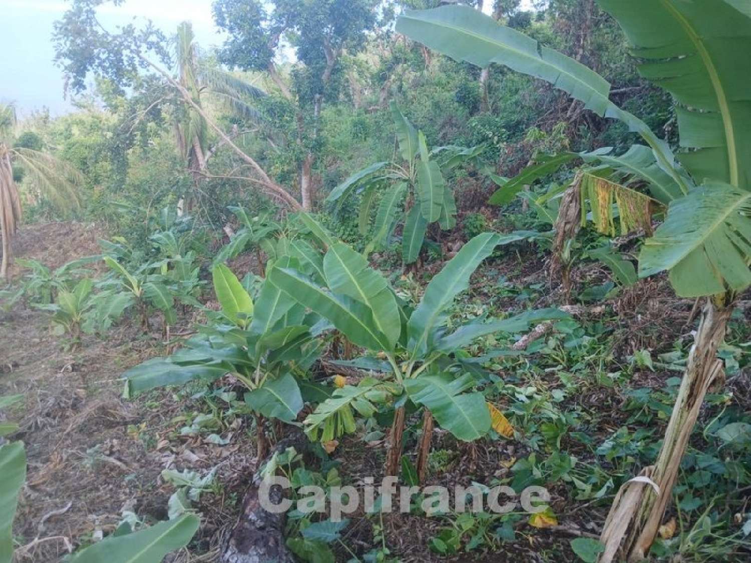 te koop terrein Sada Mayotte 2