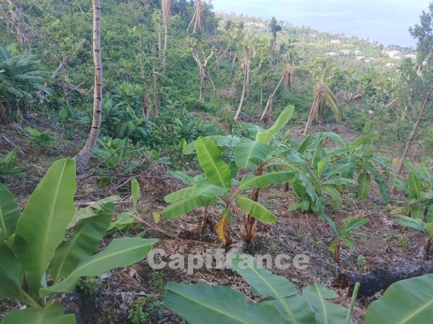 te koop terrein Sada Mayotte 4