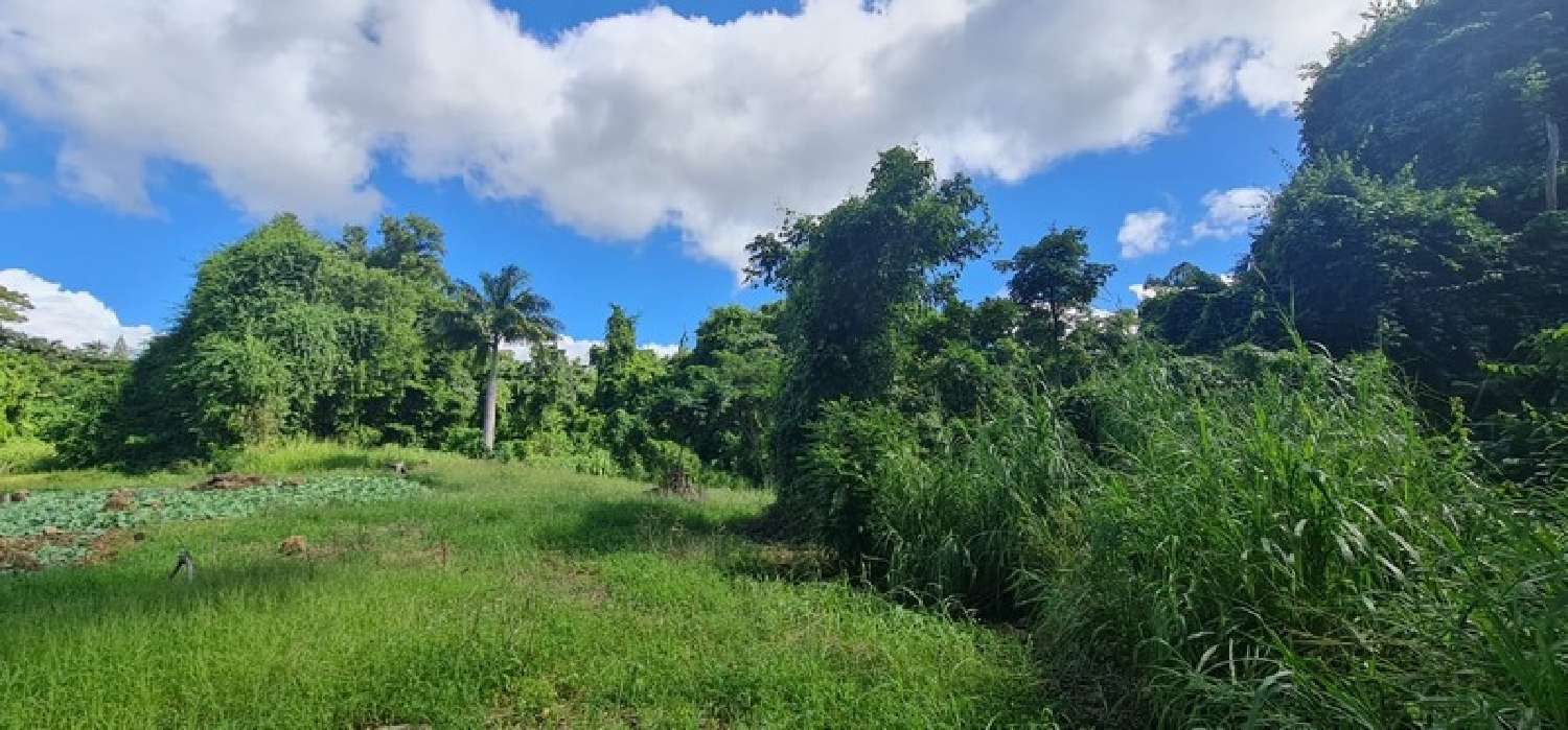  te koop terrein Saint-Claude Guadeloupe 1