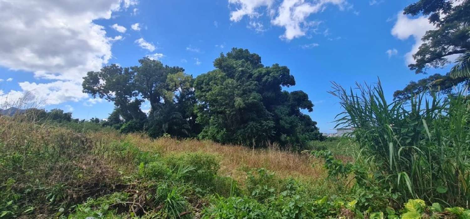  te koop terrein Saint-Claude Guadeloupe 3