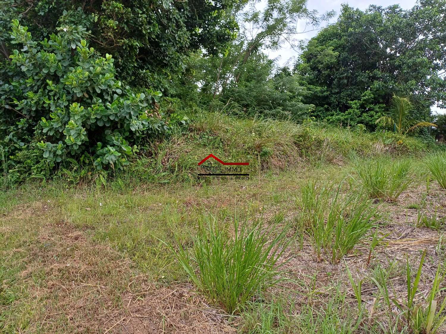 te koop terrein Saint-Esprit Martinique 3