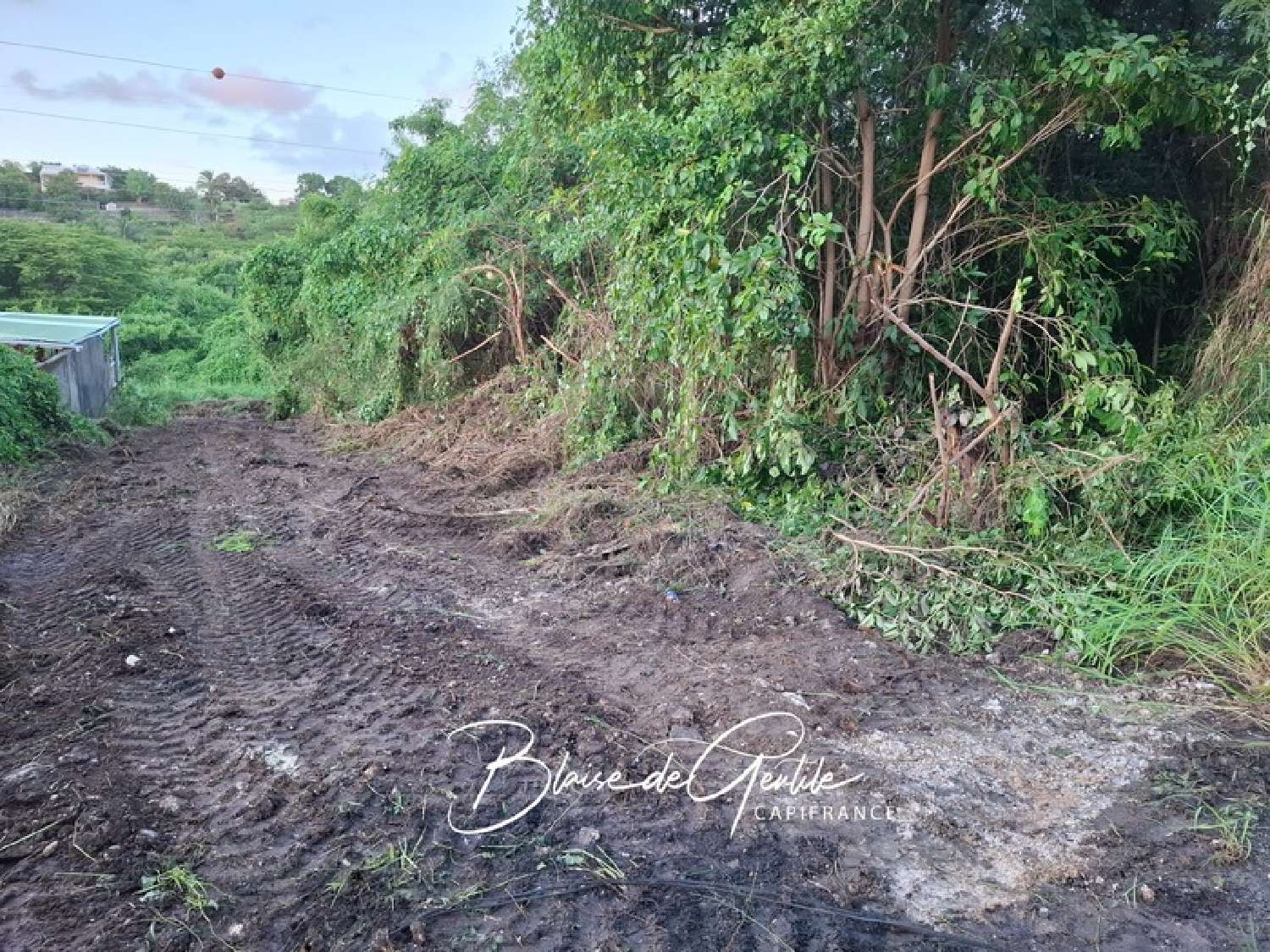 te koop terrein Saint-François Guadeloupe 1