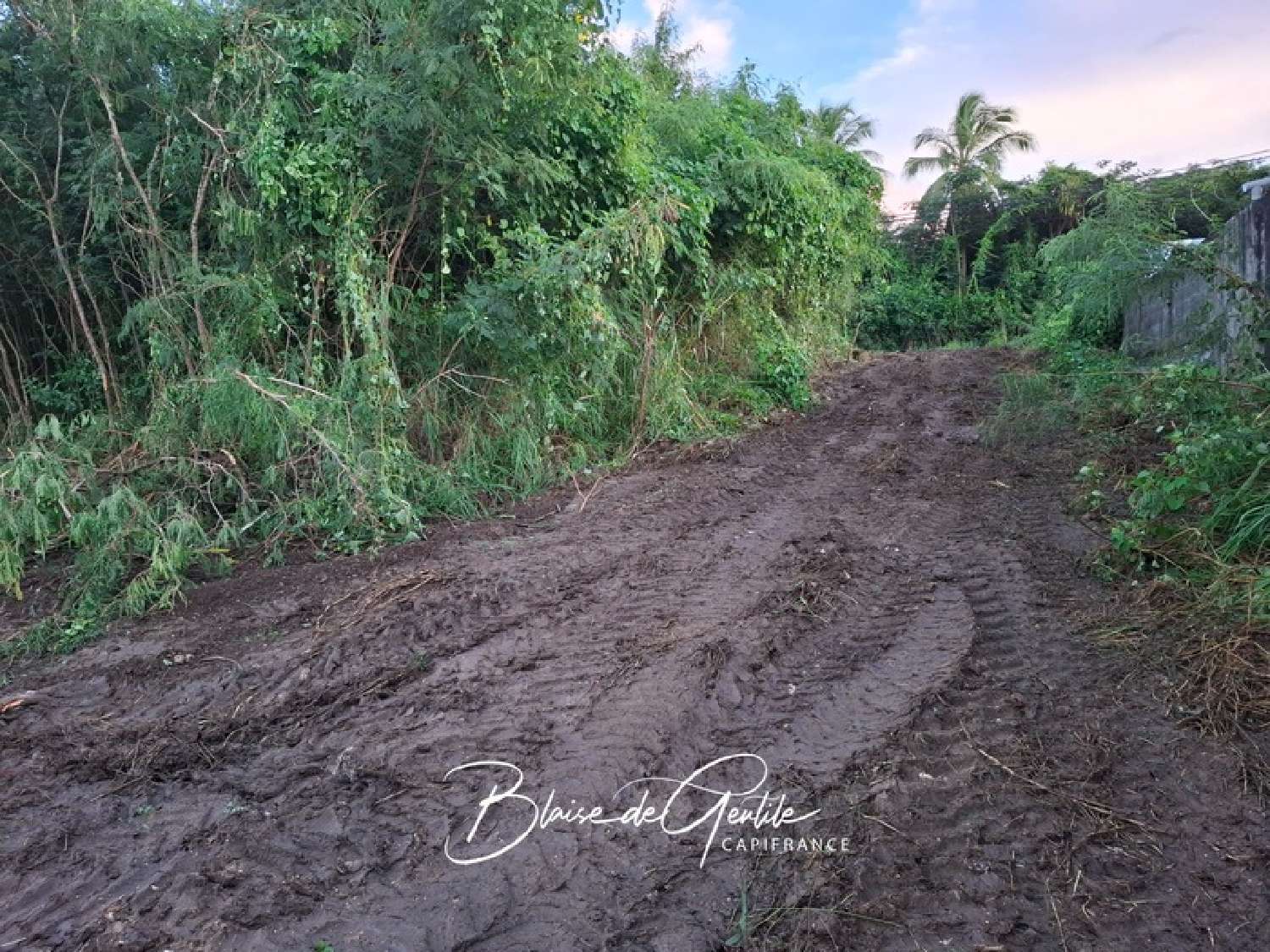 te koop terrein Saint-François Guadeloupe 2