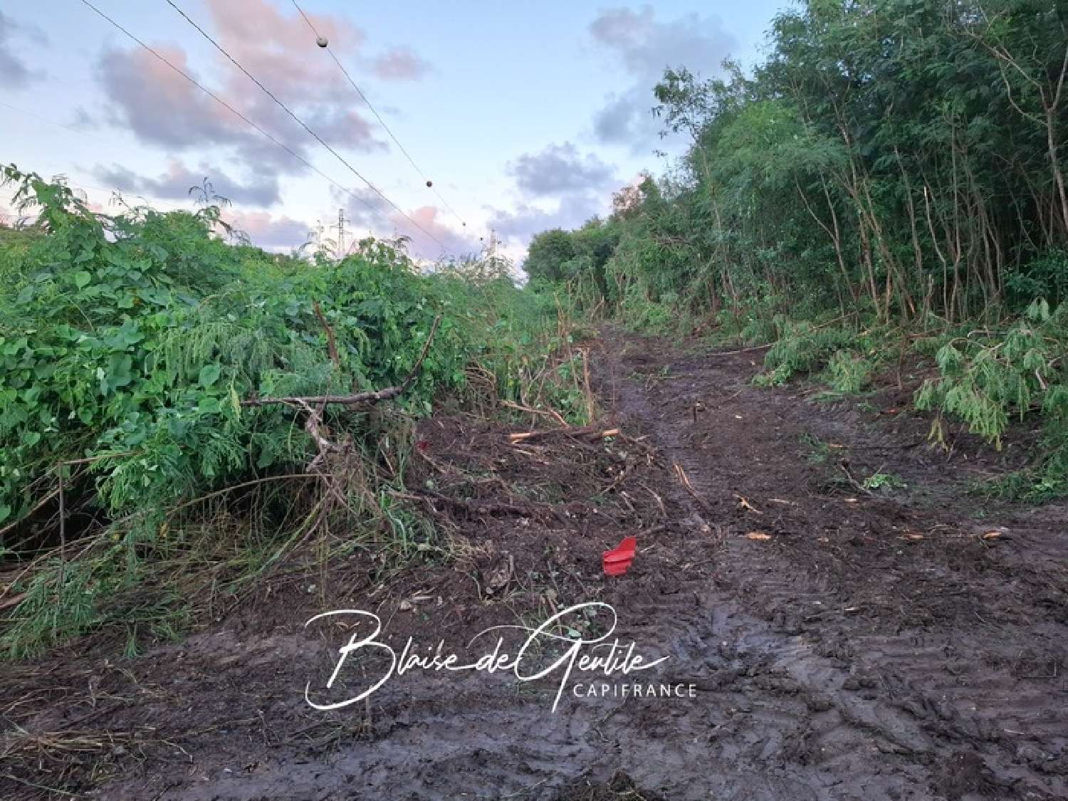 te koop terrein Saint-François Guadeloupe 3