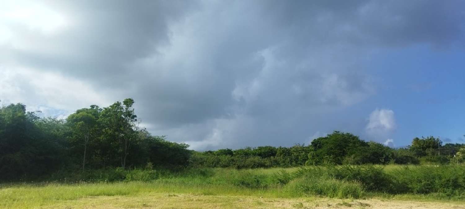 te koop terrein Saint-François Guadeloupe 1