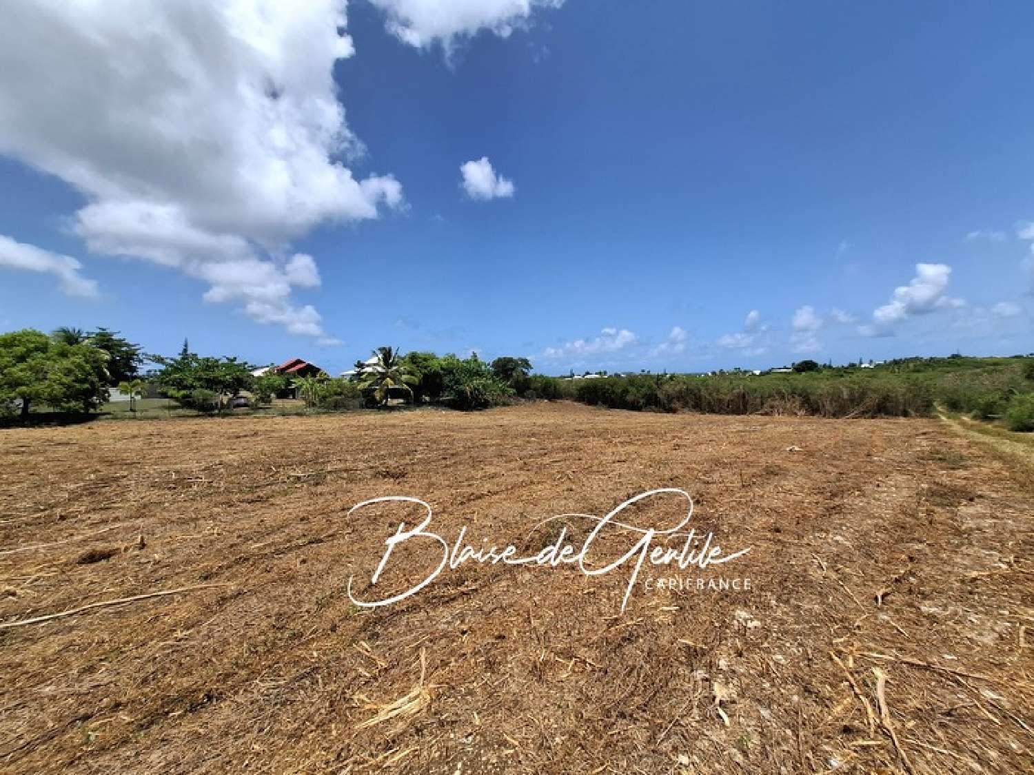 te koop terrein Saint-François Guadeloupe 1