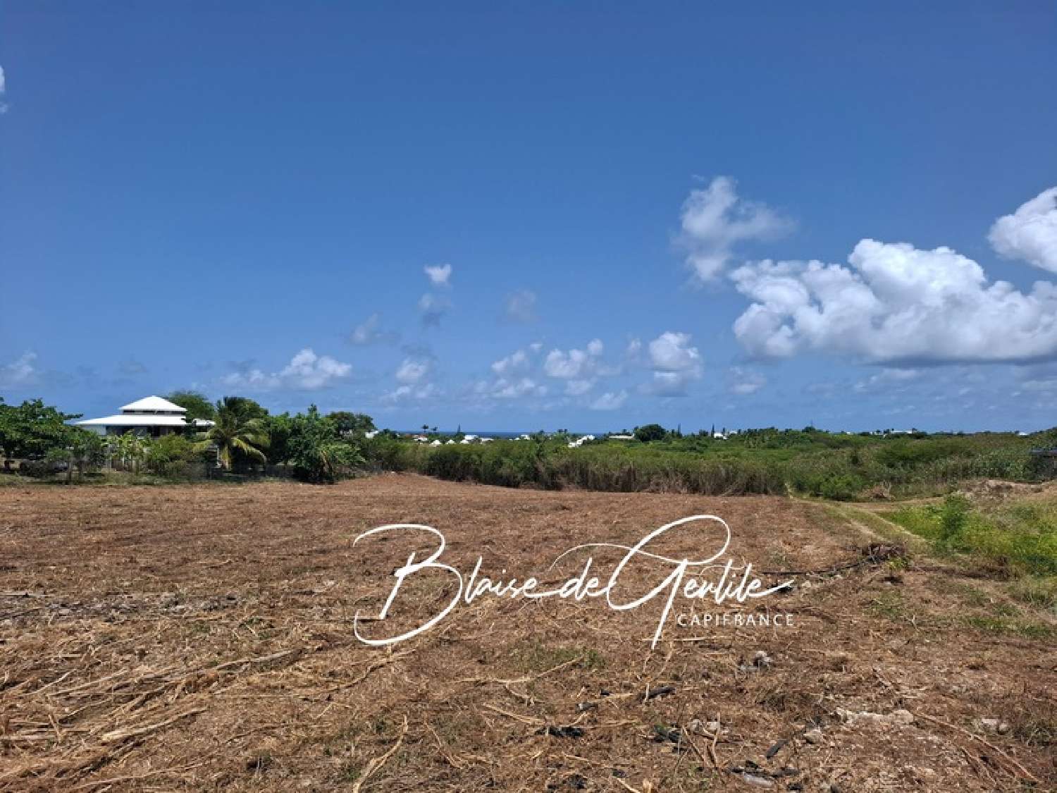 te koop terrein Saint-François Guadeloupe 2