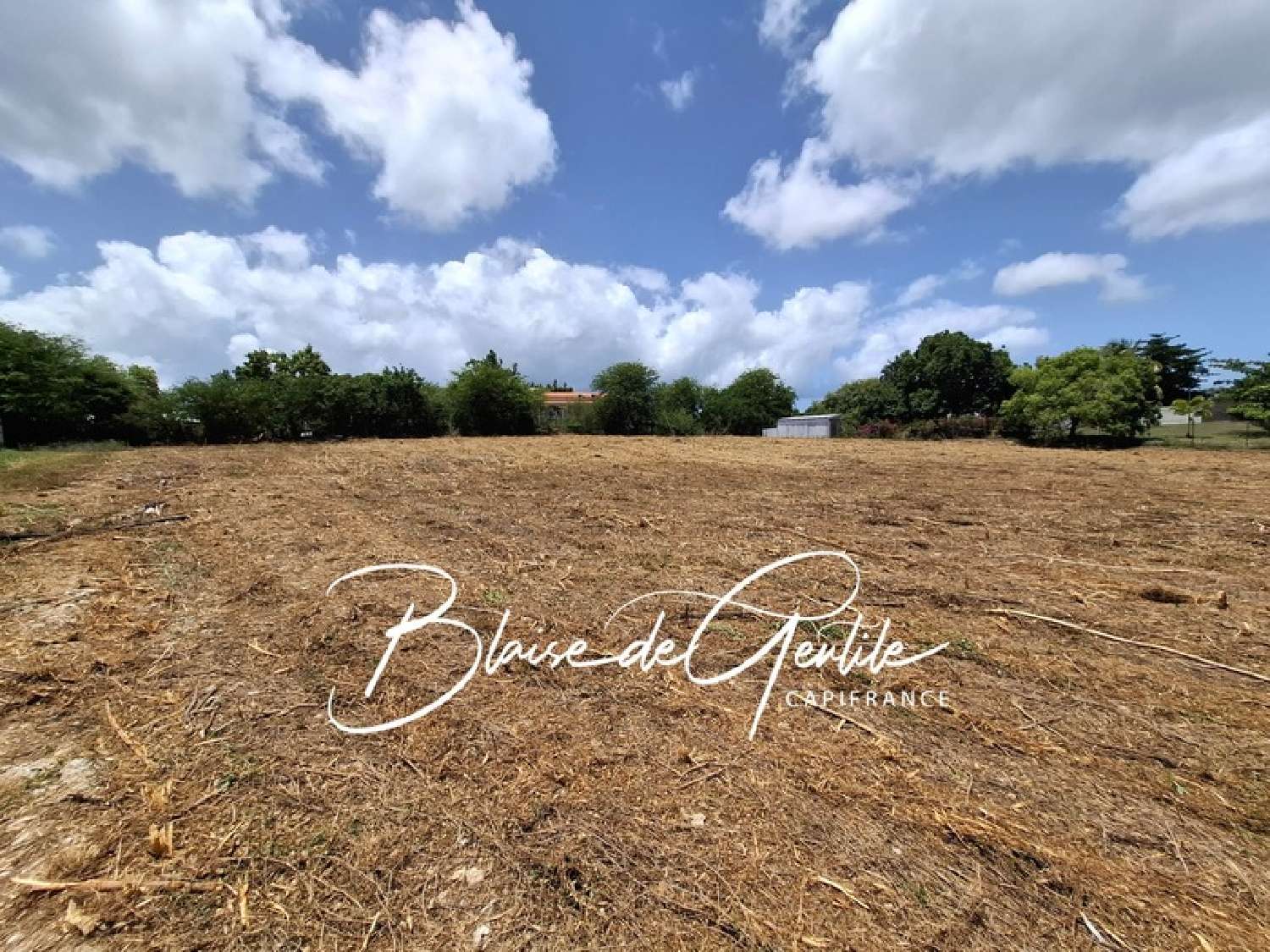 te koop terrein Saint-François Guadeloupe 3