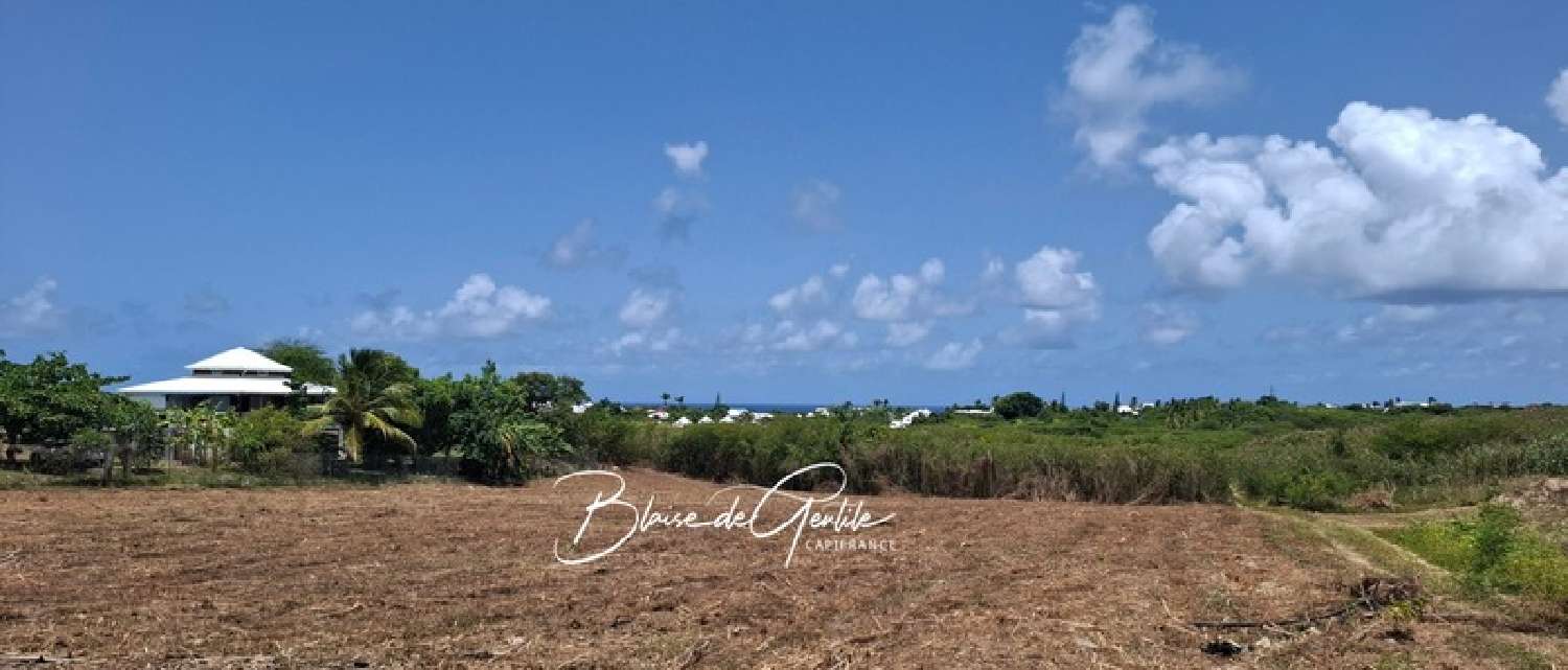 te koop terrein Saint-François Guadeloupe 4