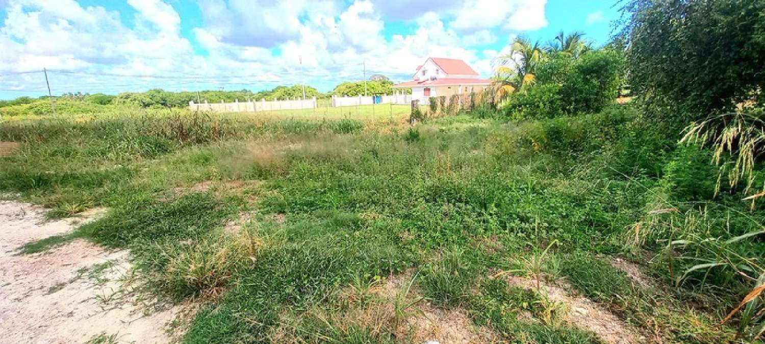 te koop terrein Saint-François Guadeloupe 1