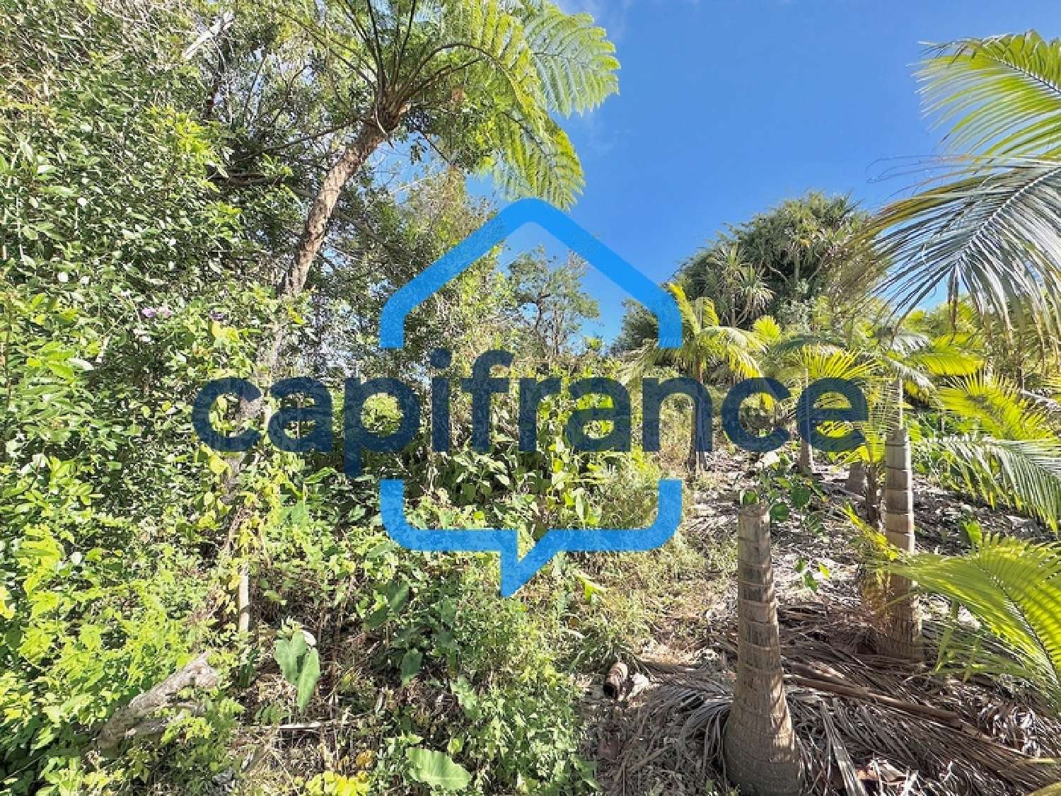  te koop terrein Saint-Joseph La Réunion 1