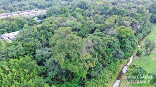 Saint-Laurent-du-Maroni Guyane terrein foto 7220514