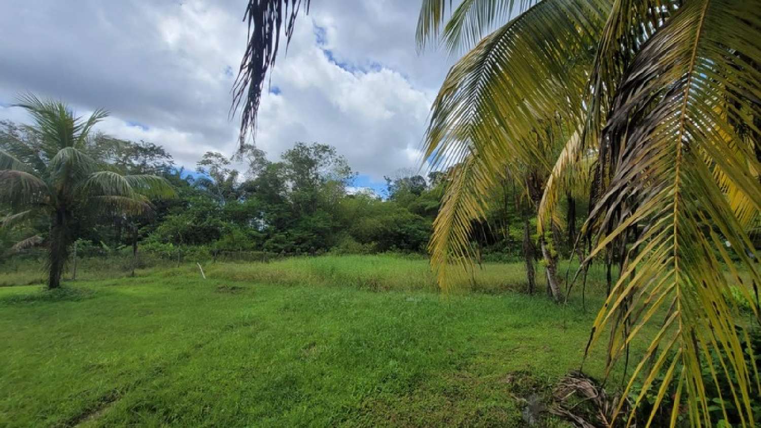 kaufen Grundstück Saint-Laurent-du-Maroni Guyane 1