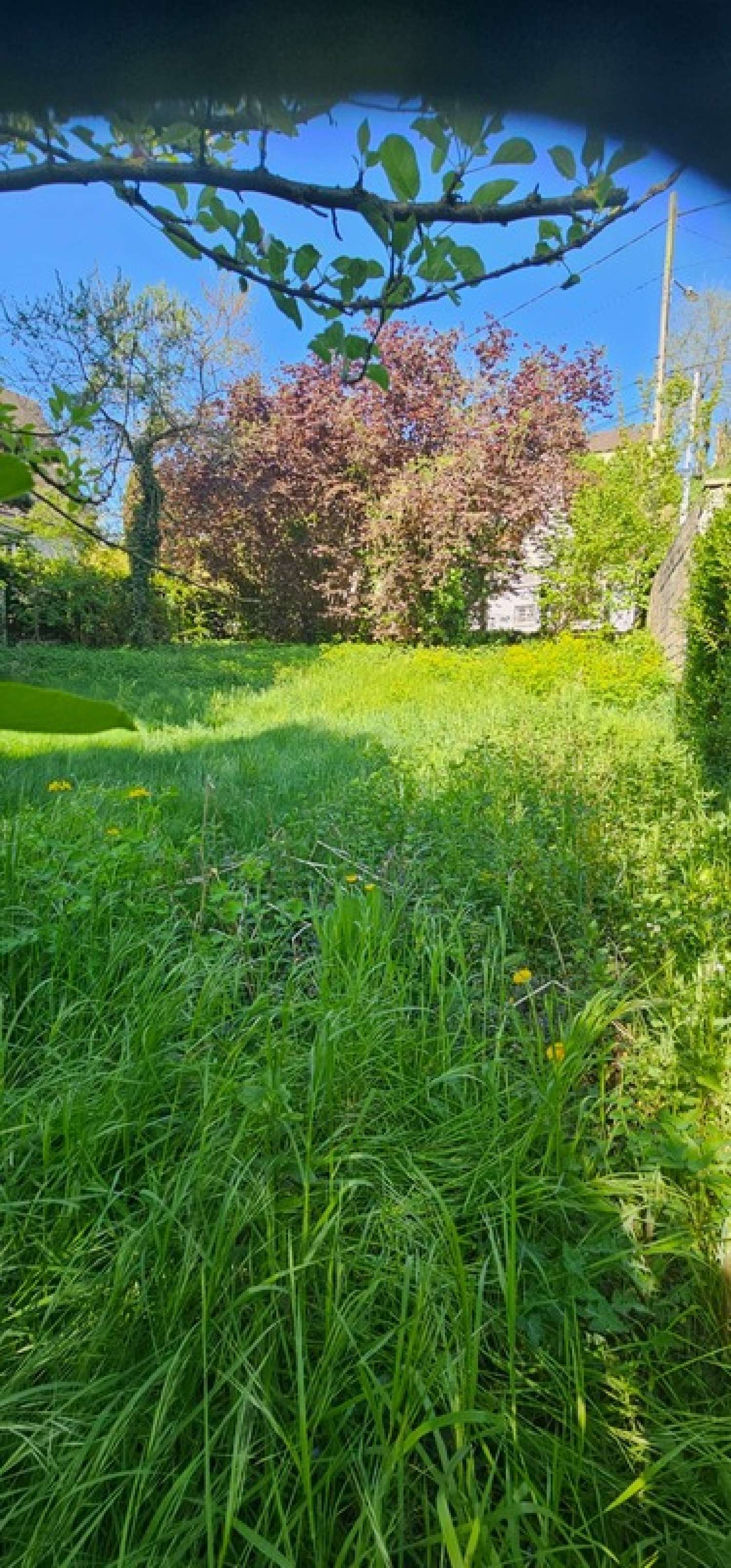 kaufen Grundstück Saint-Leu-d'Esserent Oise 2