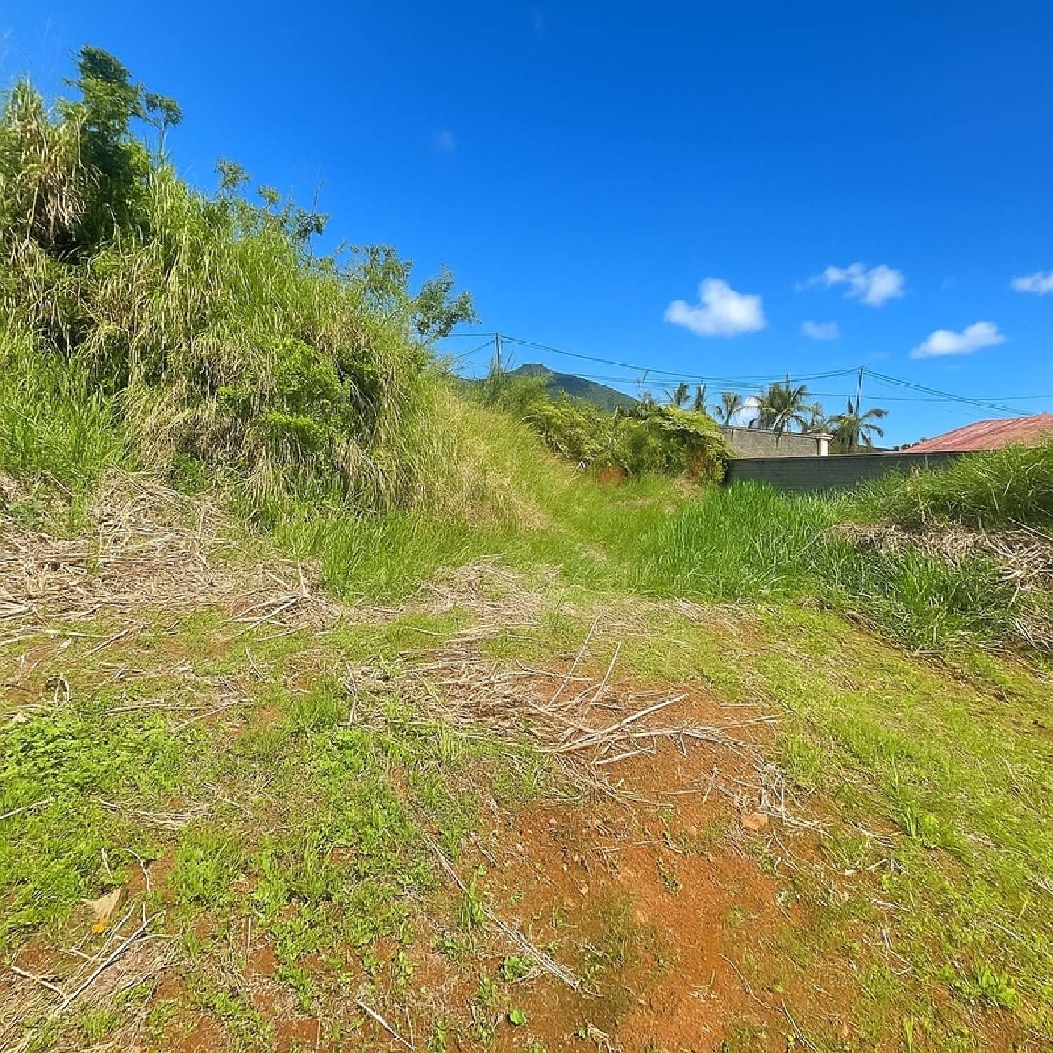 te koop terrein Saint-Louis La Réunion 1