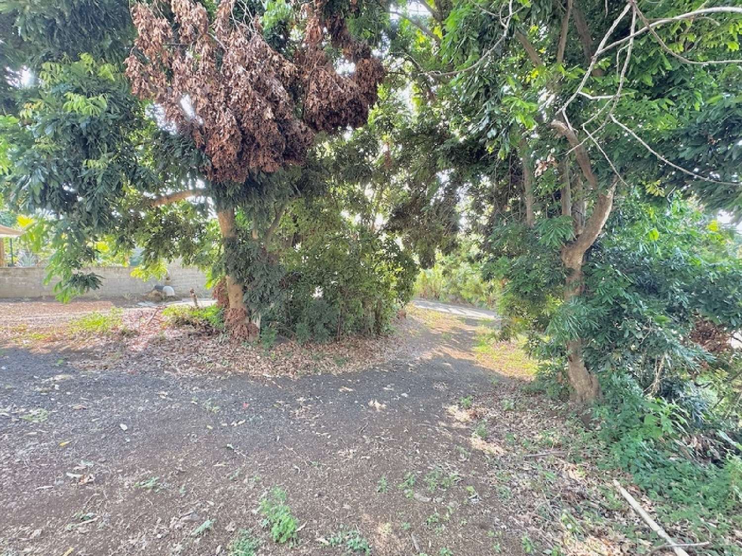 te koop terrein Saint-Louis La Réunion 3